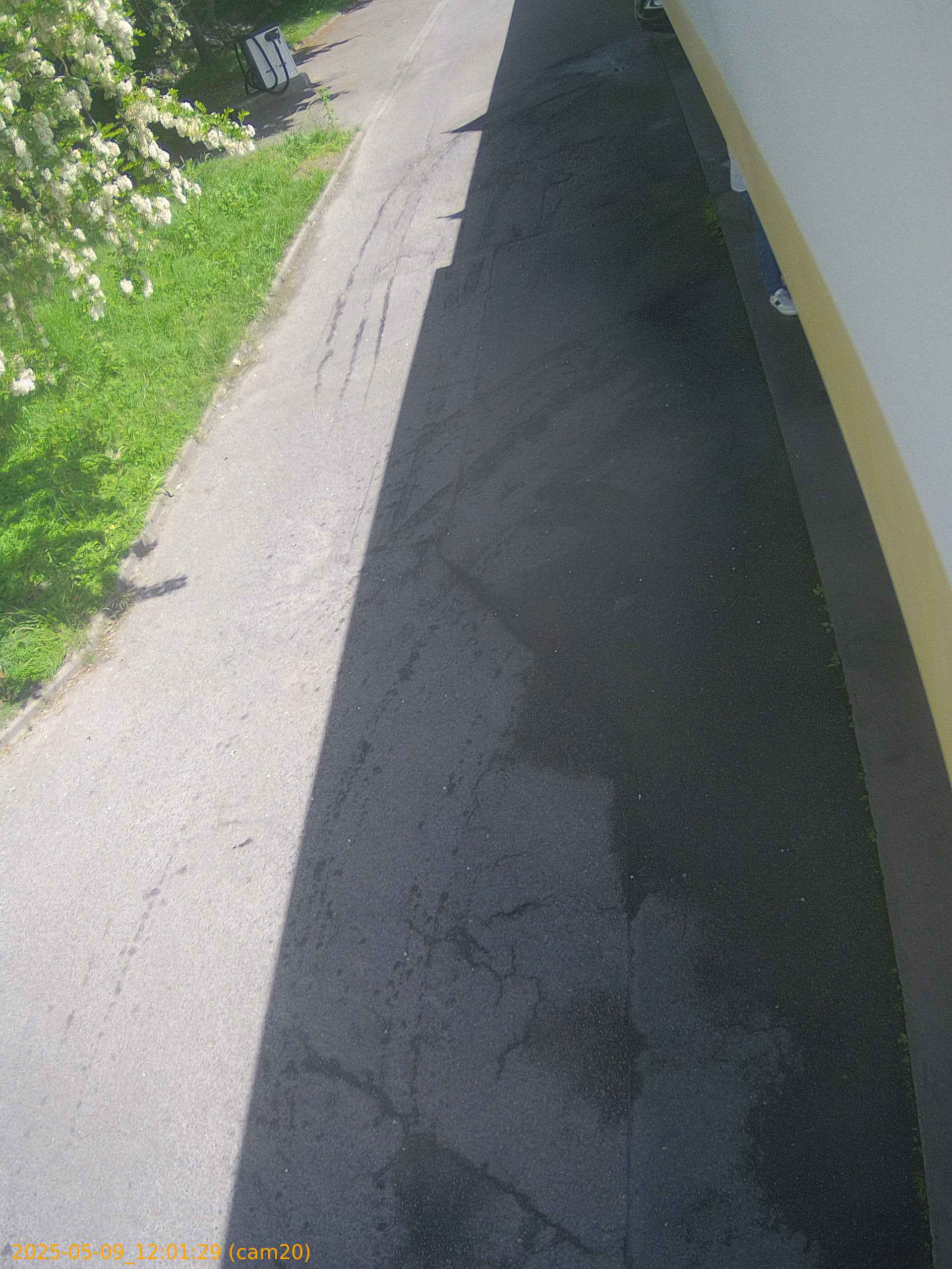 thumbnail_20250509120129