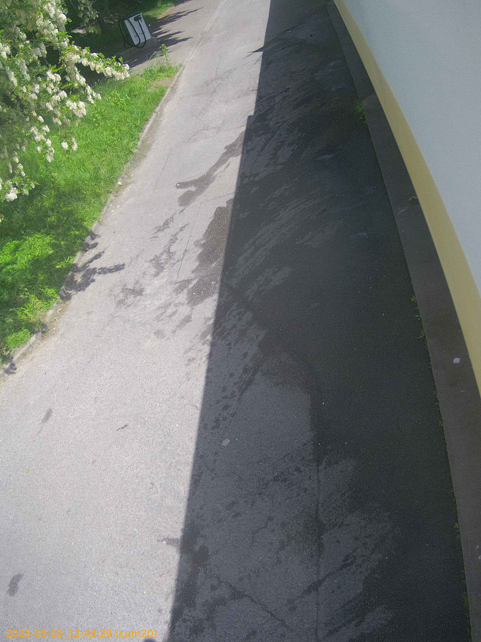 thumbnail_20250509124329