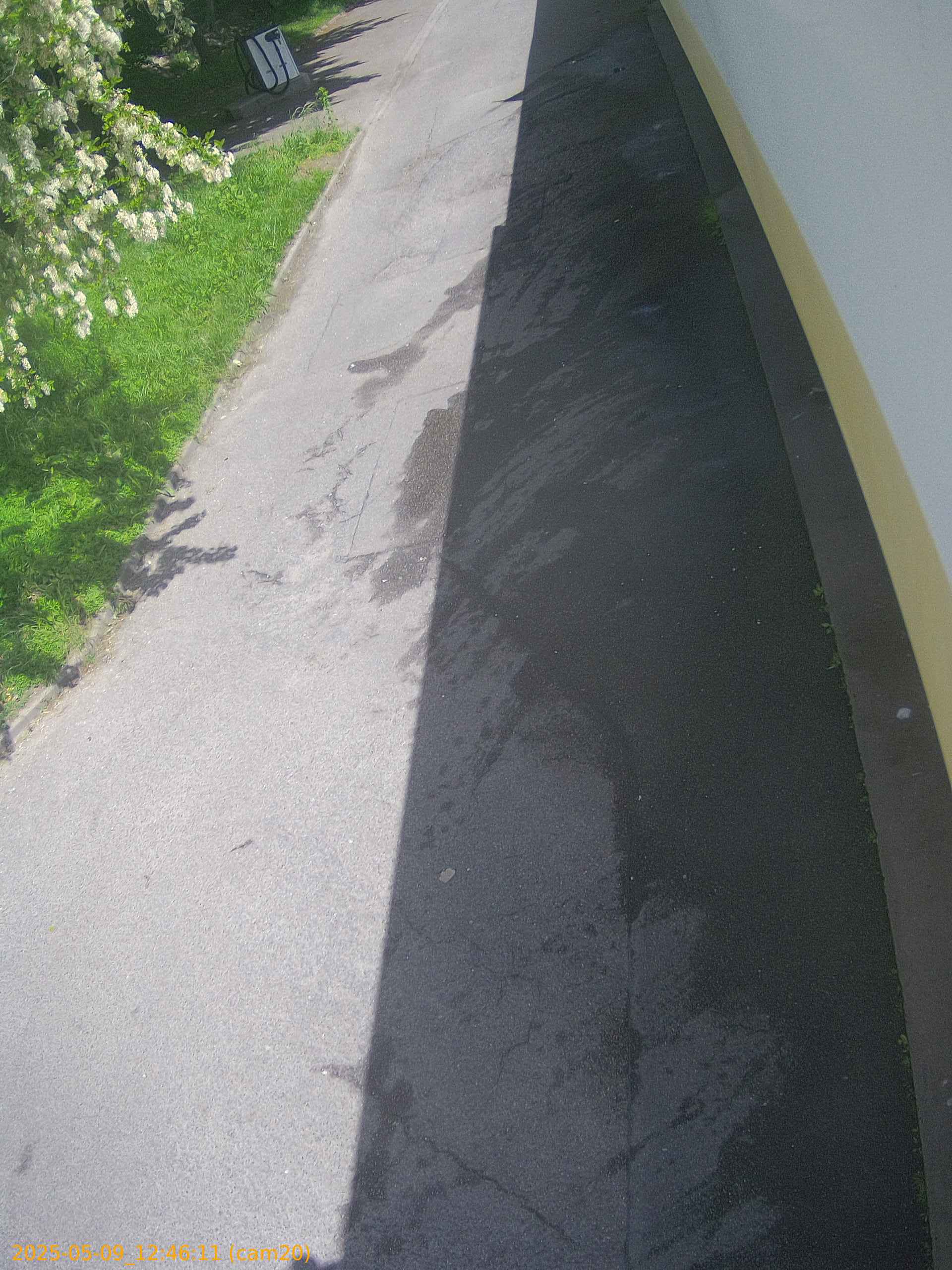 thumbnail_20250509124611