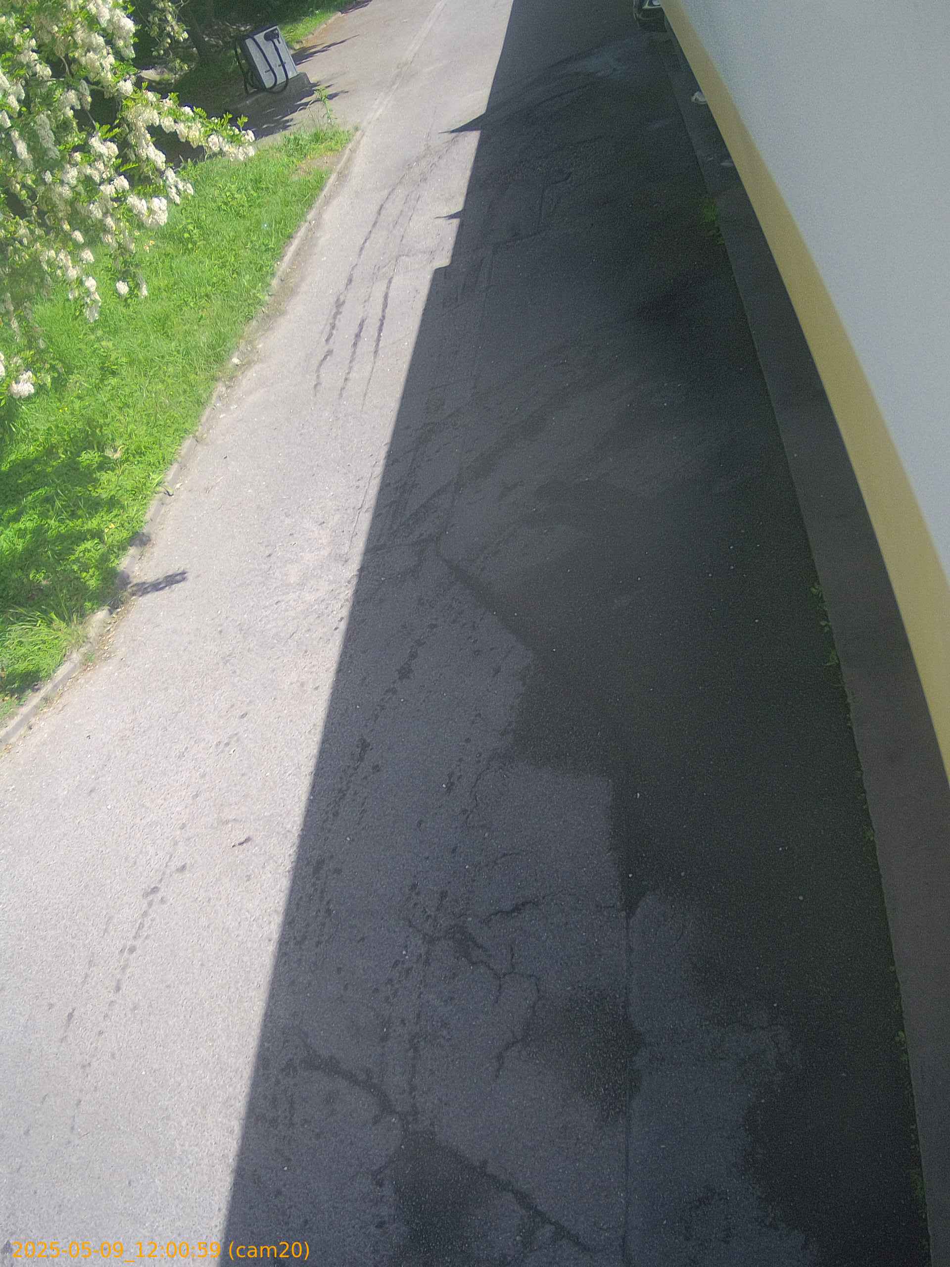 thumbnail_202505091200