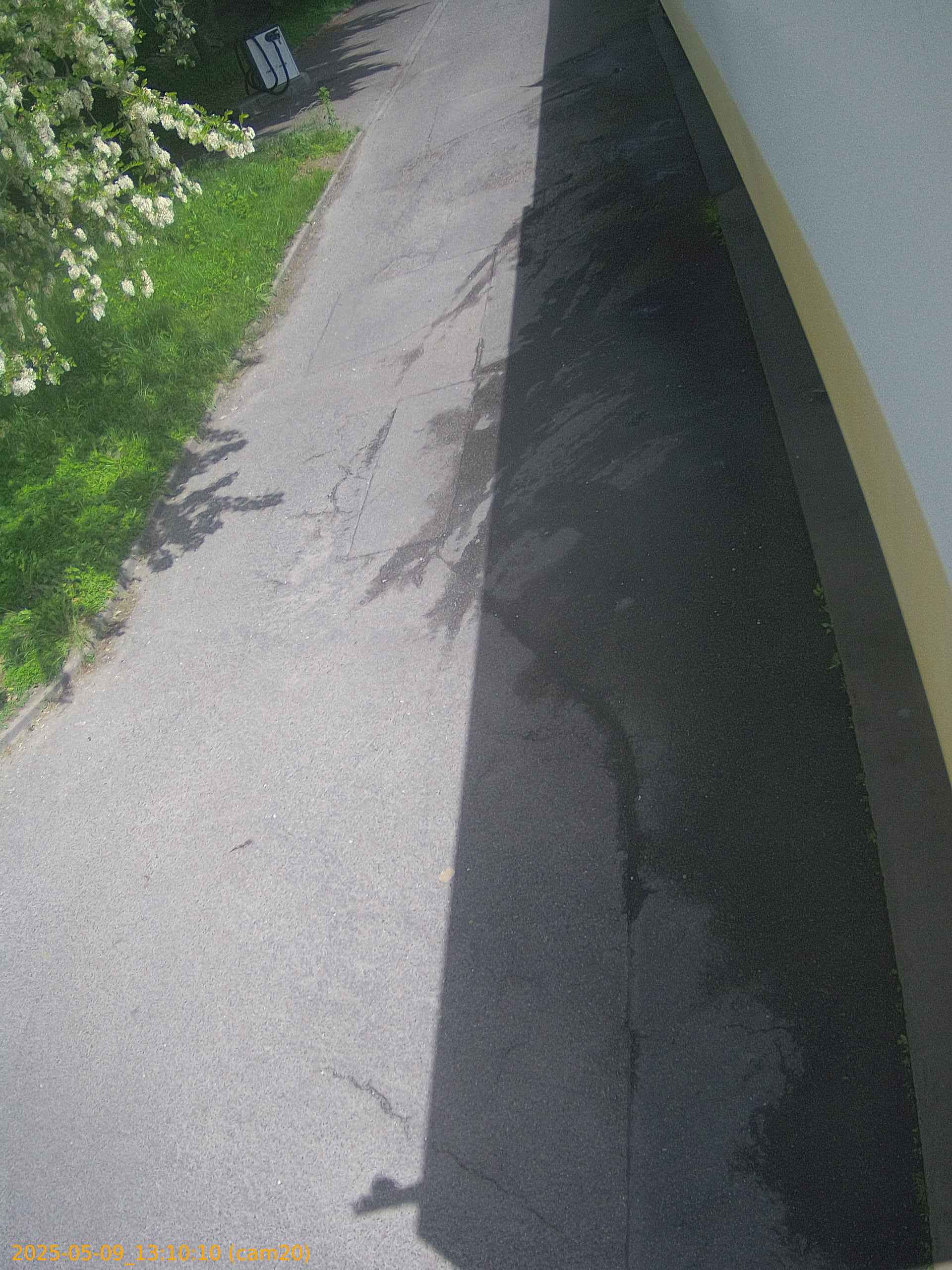 thumbnail_20250509131010