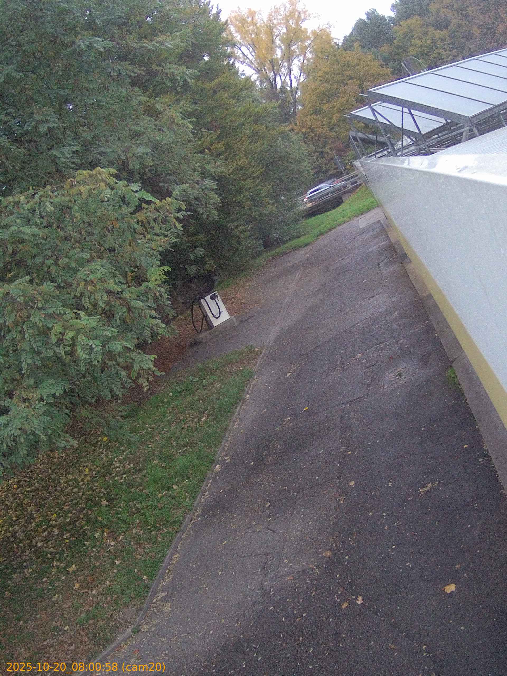thumbnail_202510200800