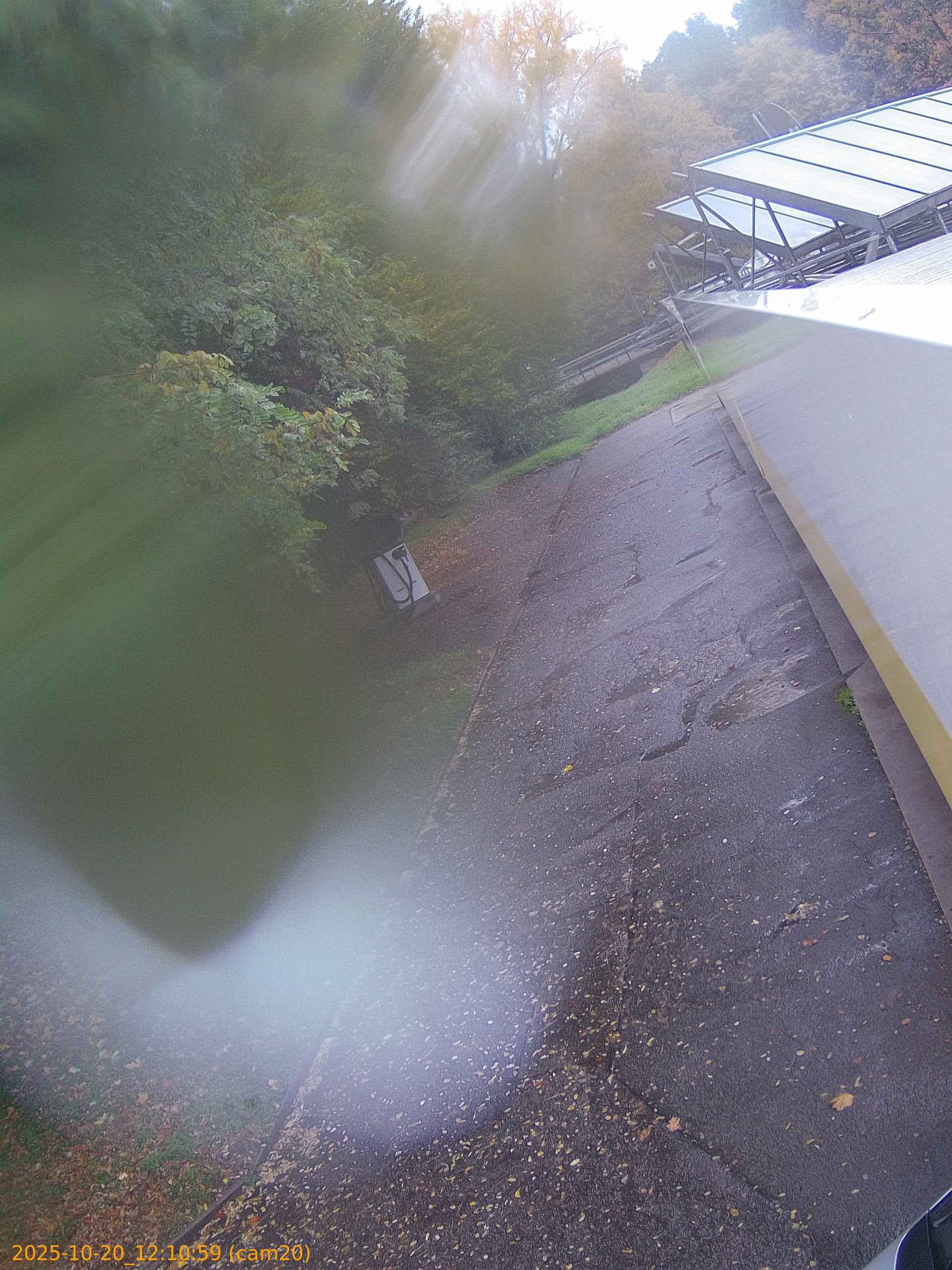 thumbnail_202510201210