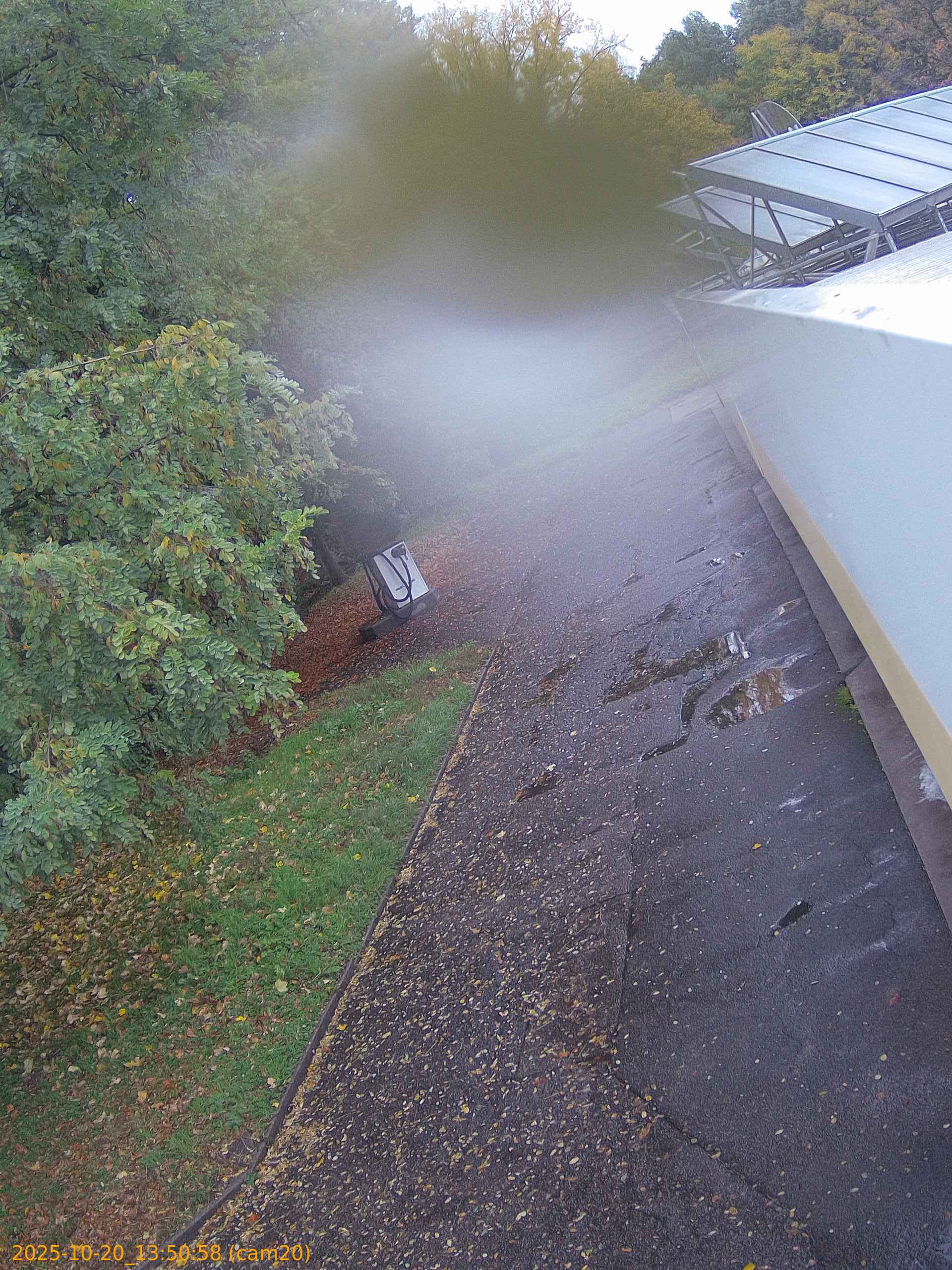 thumbnail_202510201350