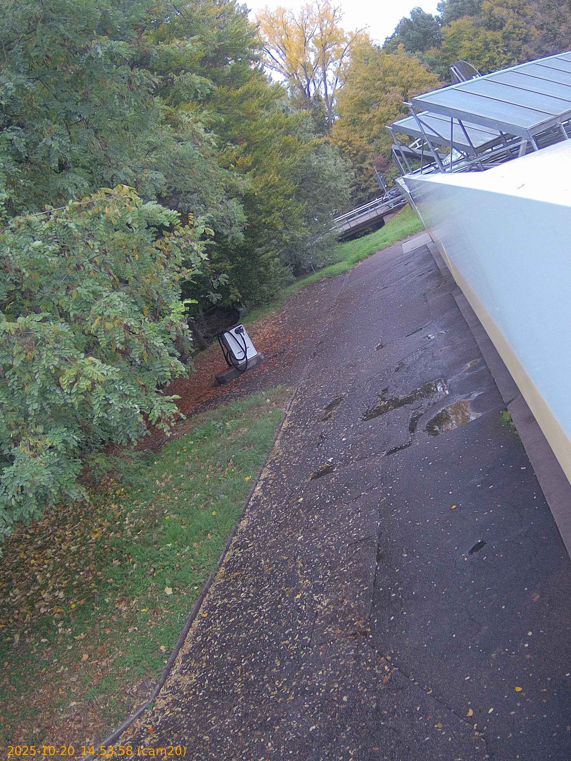 thumbnail_202510201453
