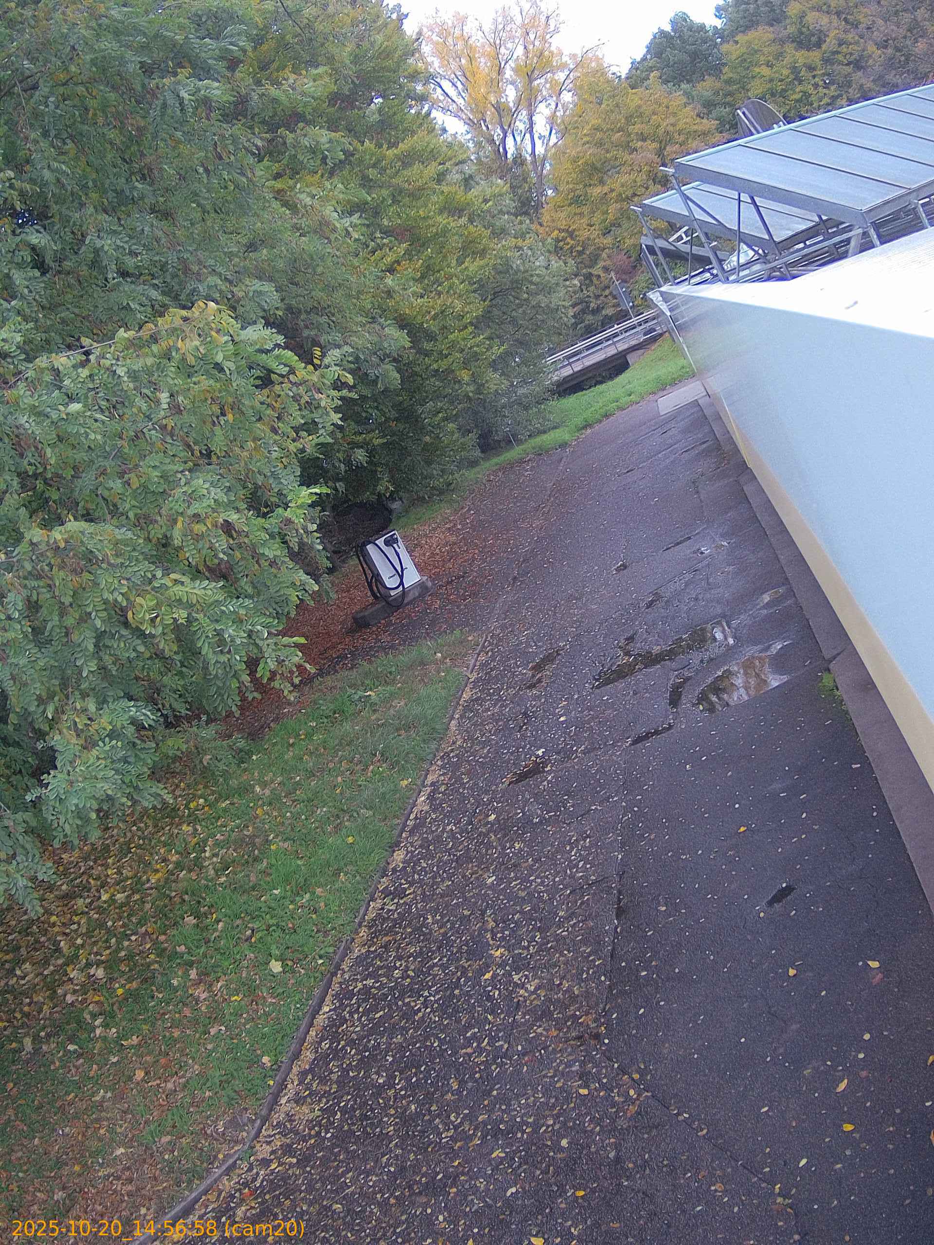 thumbnail_202510201456