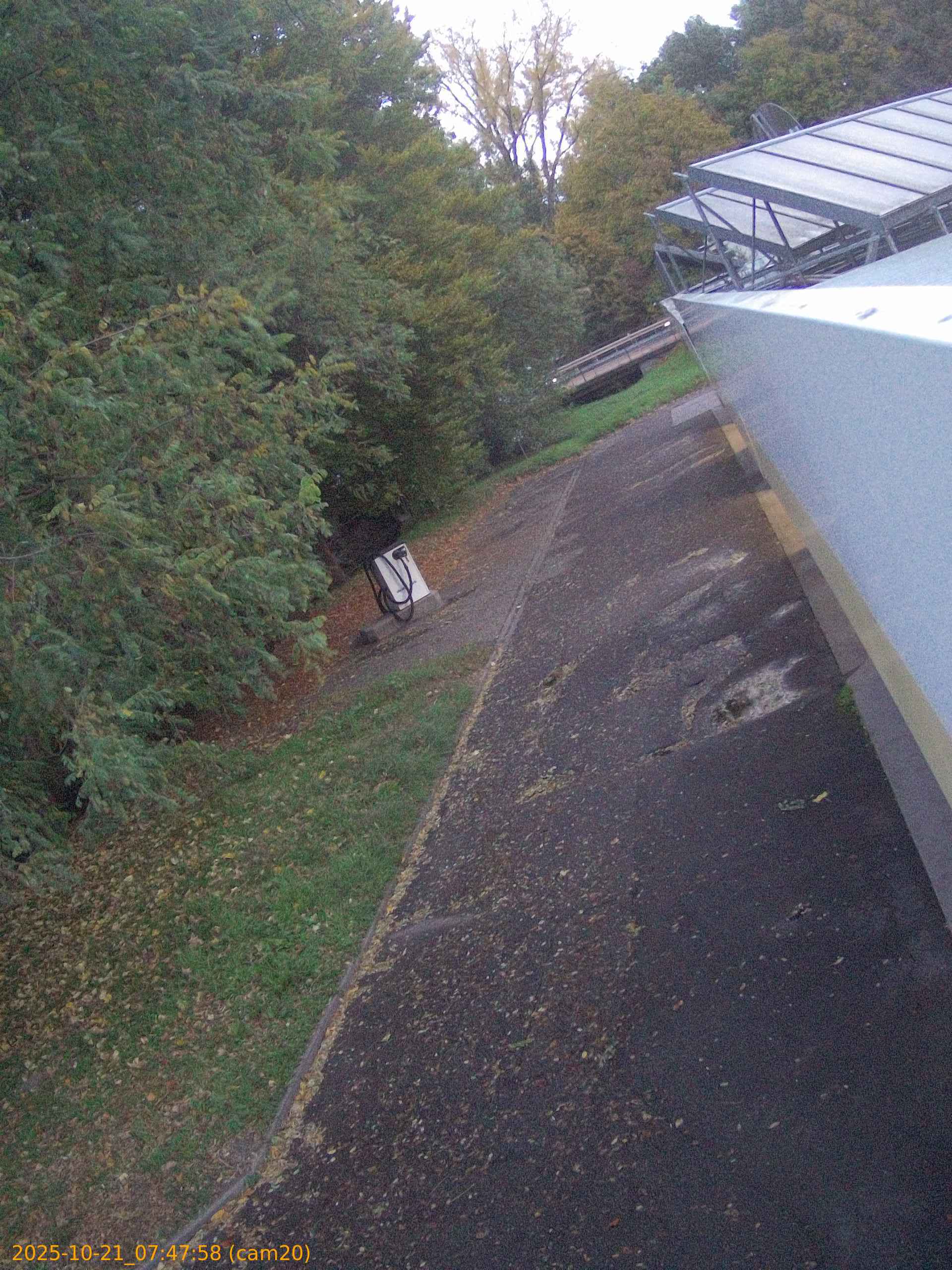 thumbnail_202510210747