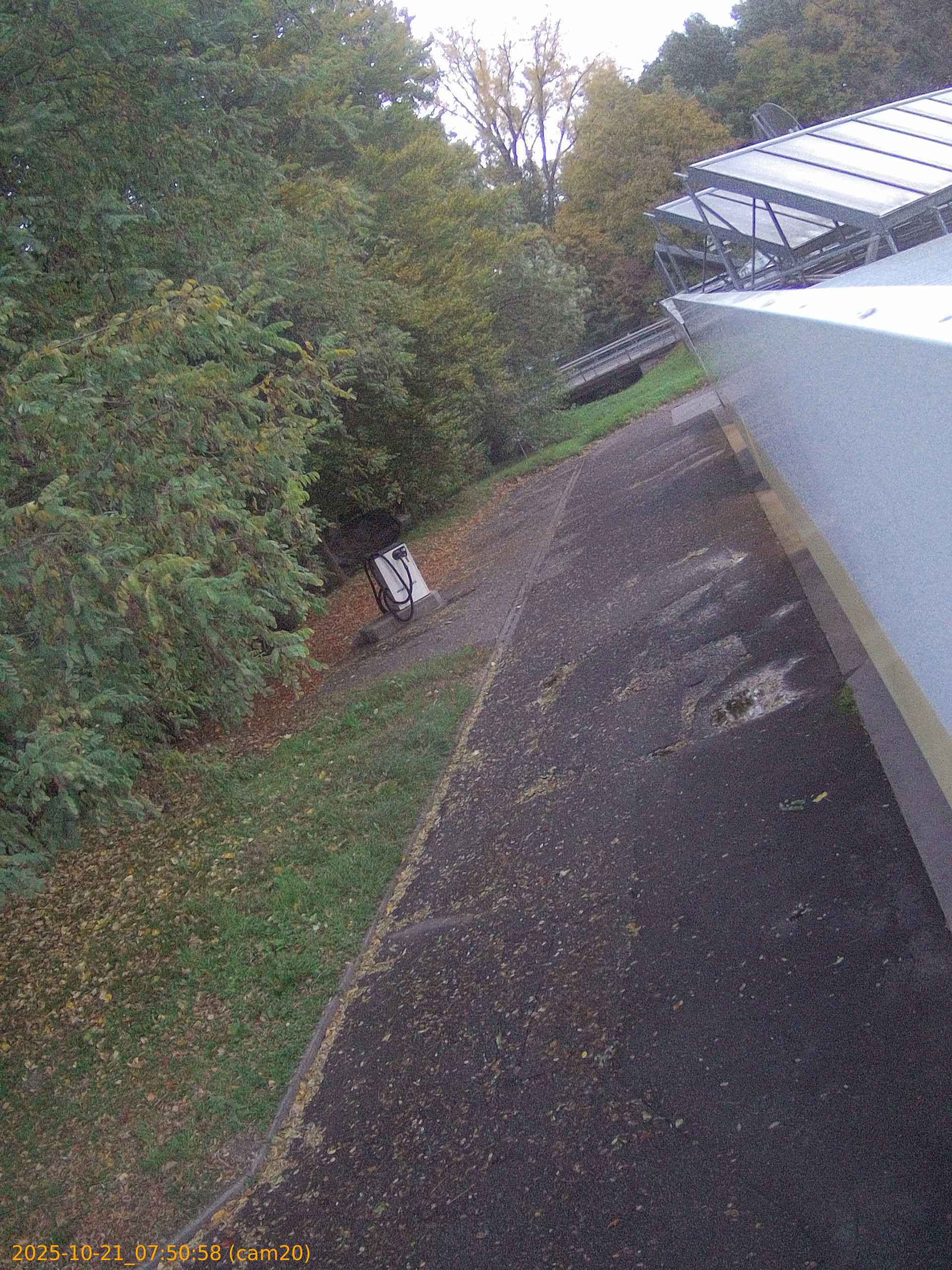 thumbnail_202510210750