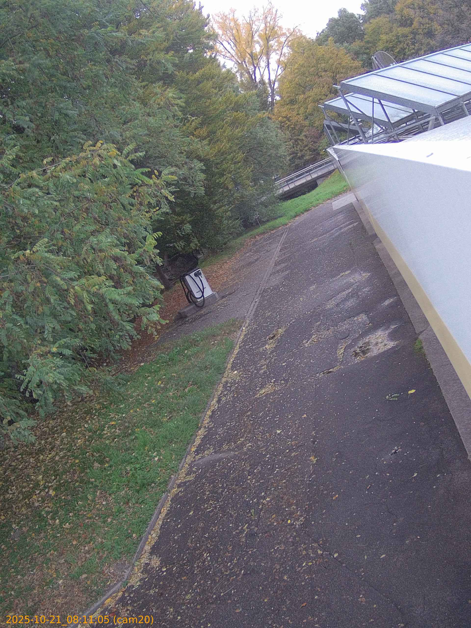 thumbnail_20251021081105