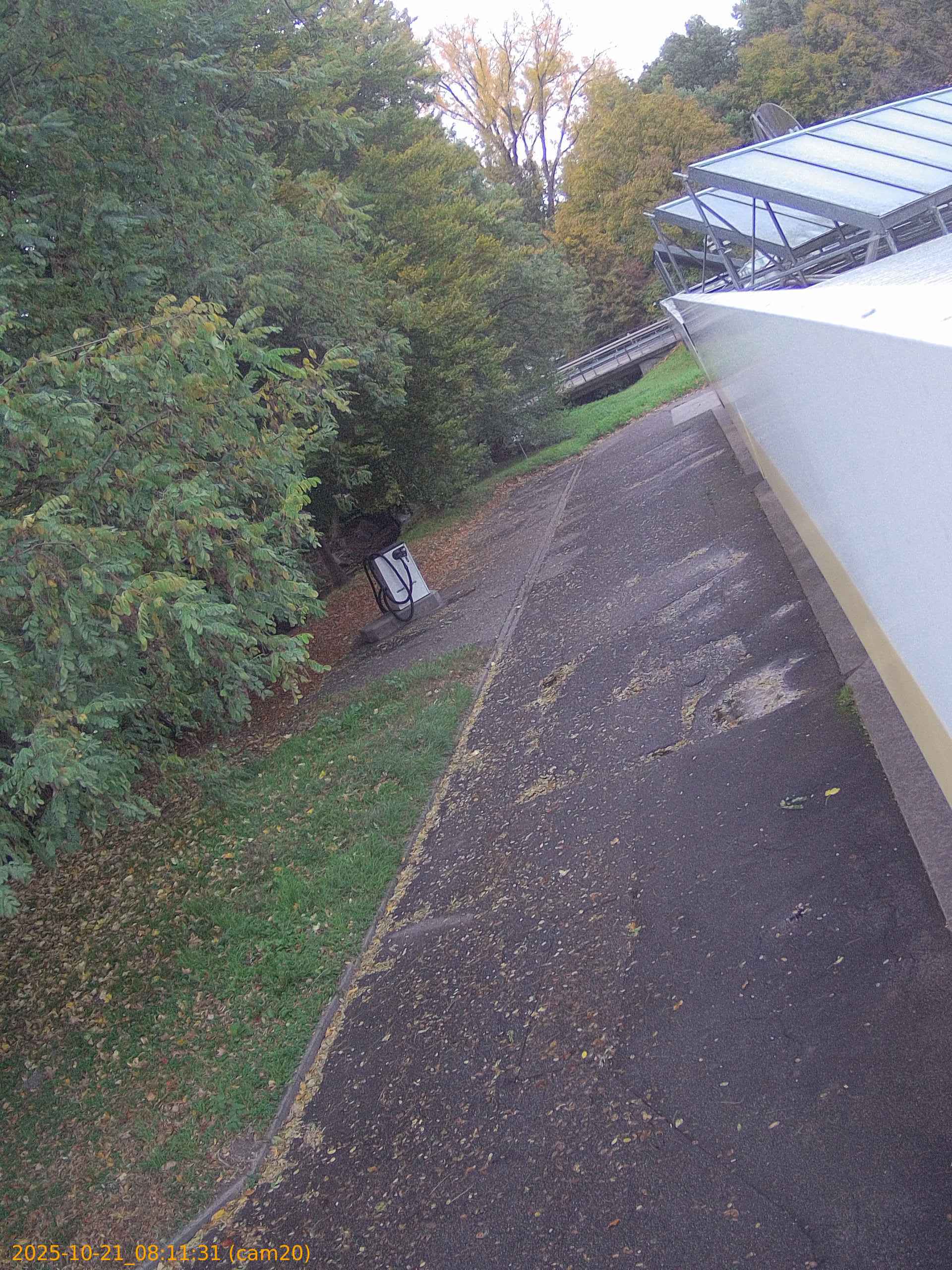 thumbnail_20251021081131