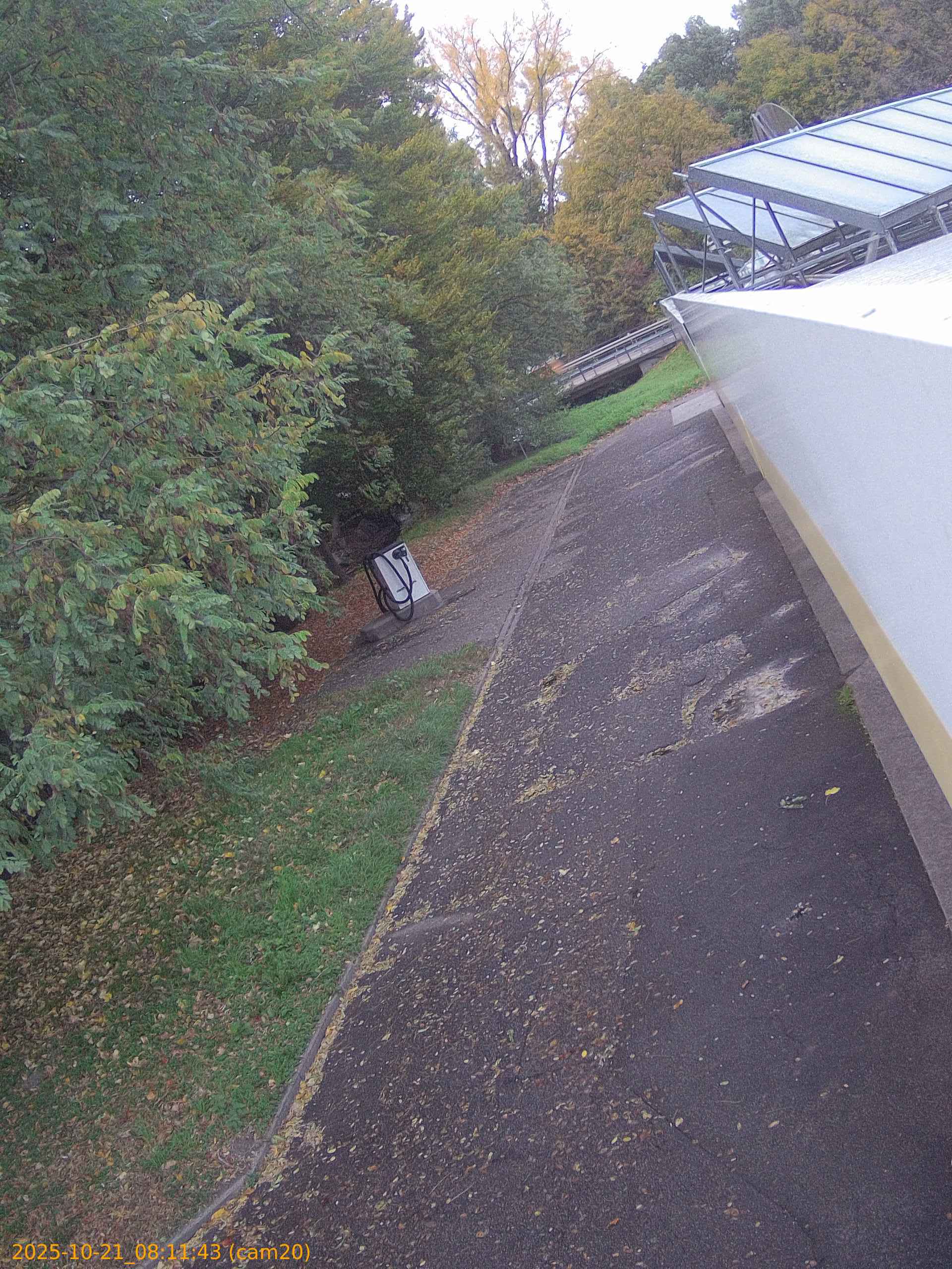 thumbnail_20251021081143