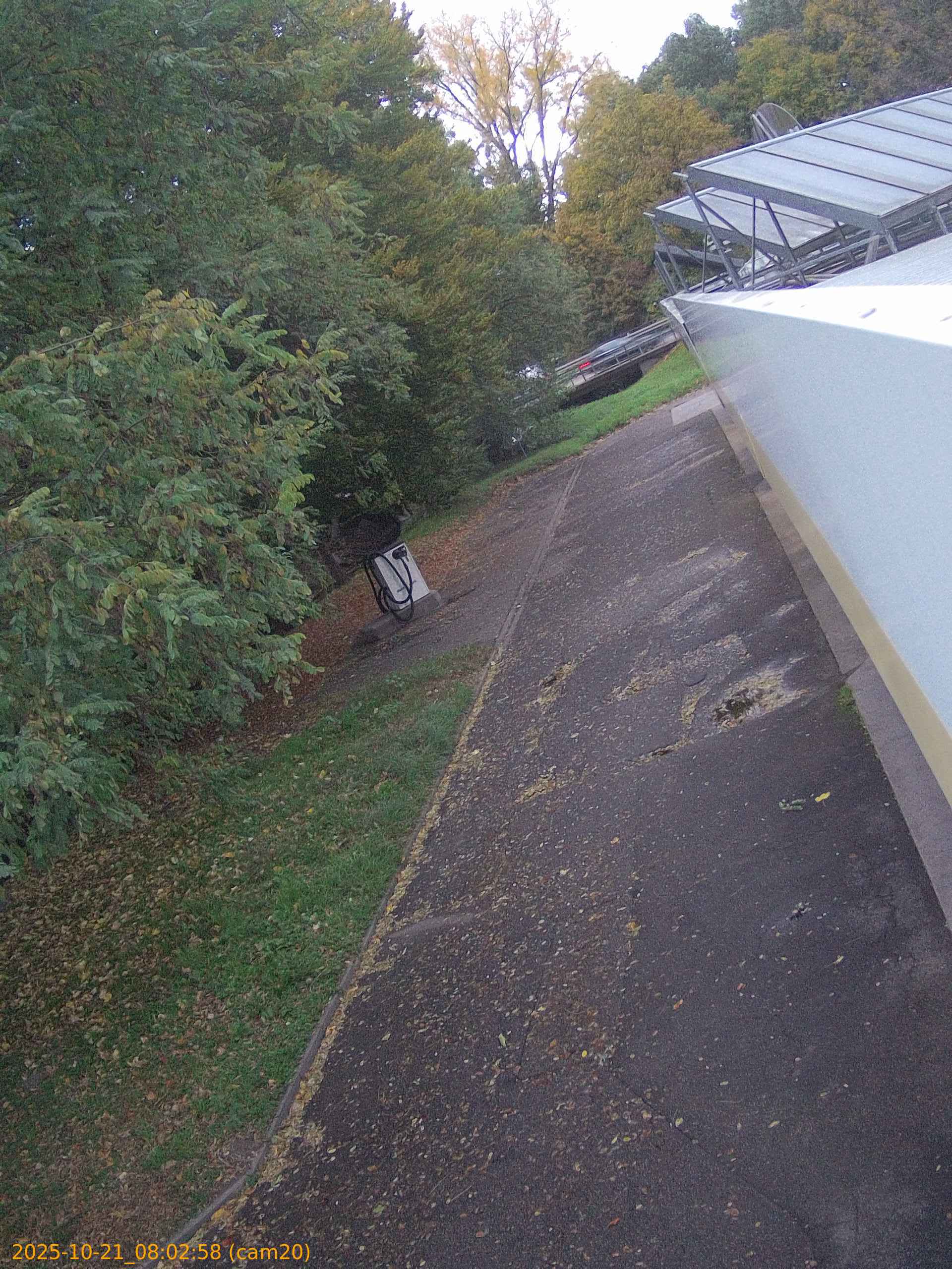 thumbnail_202510210802