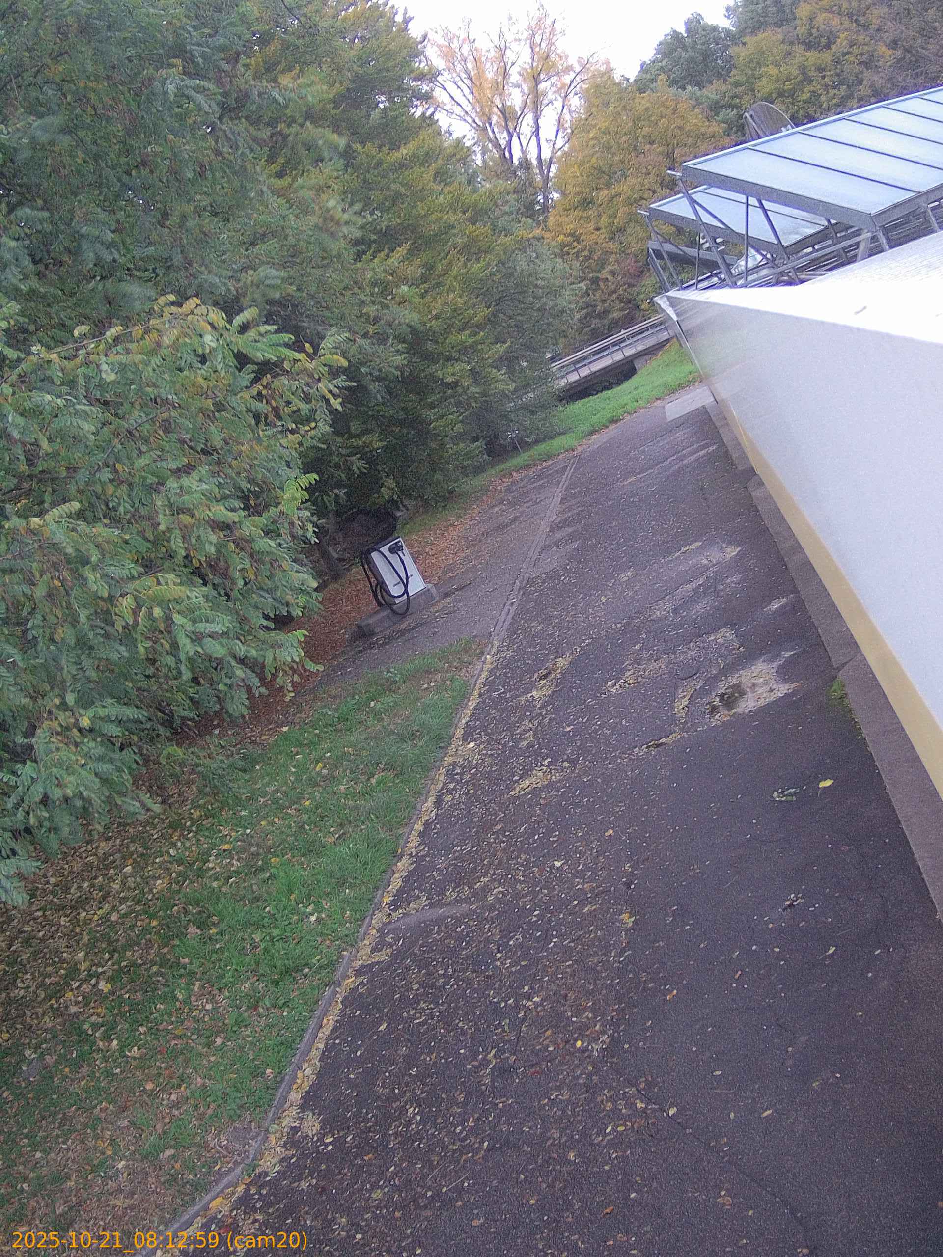 thumbnail_202510210812