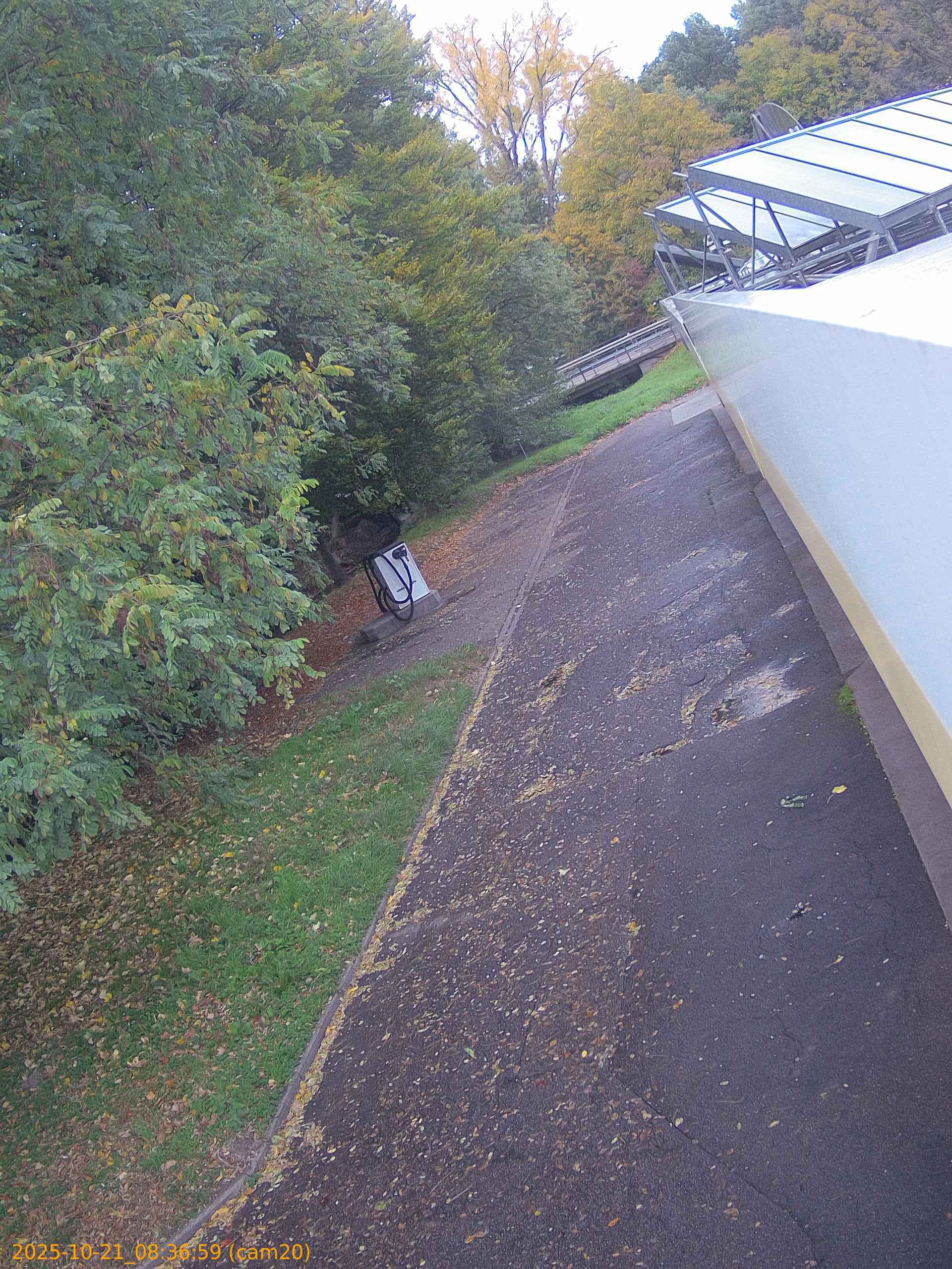 thumbnail_202510210836