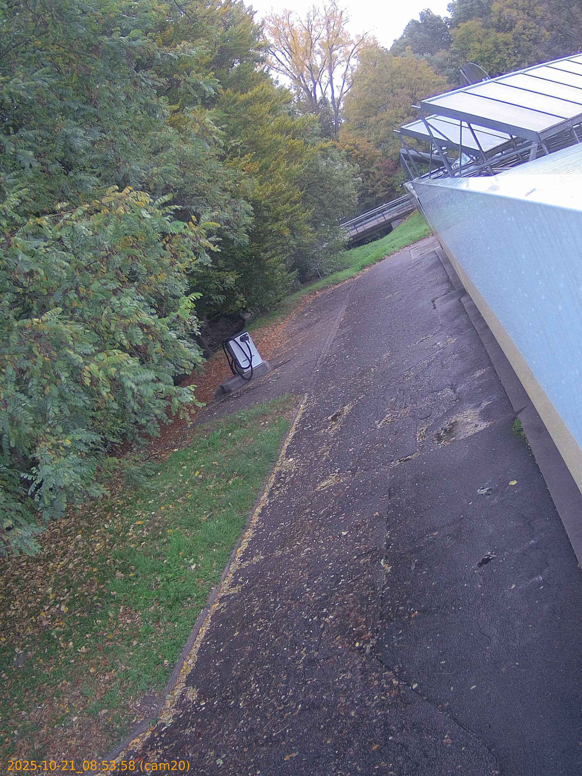 thumbnail_202510210853