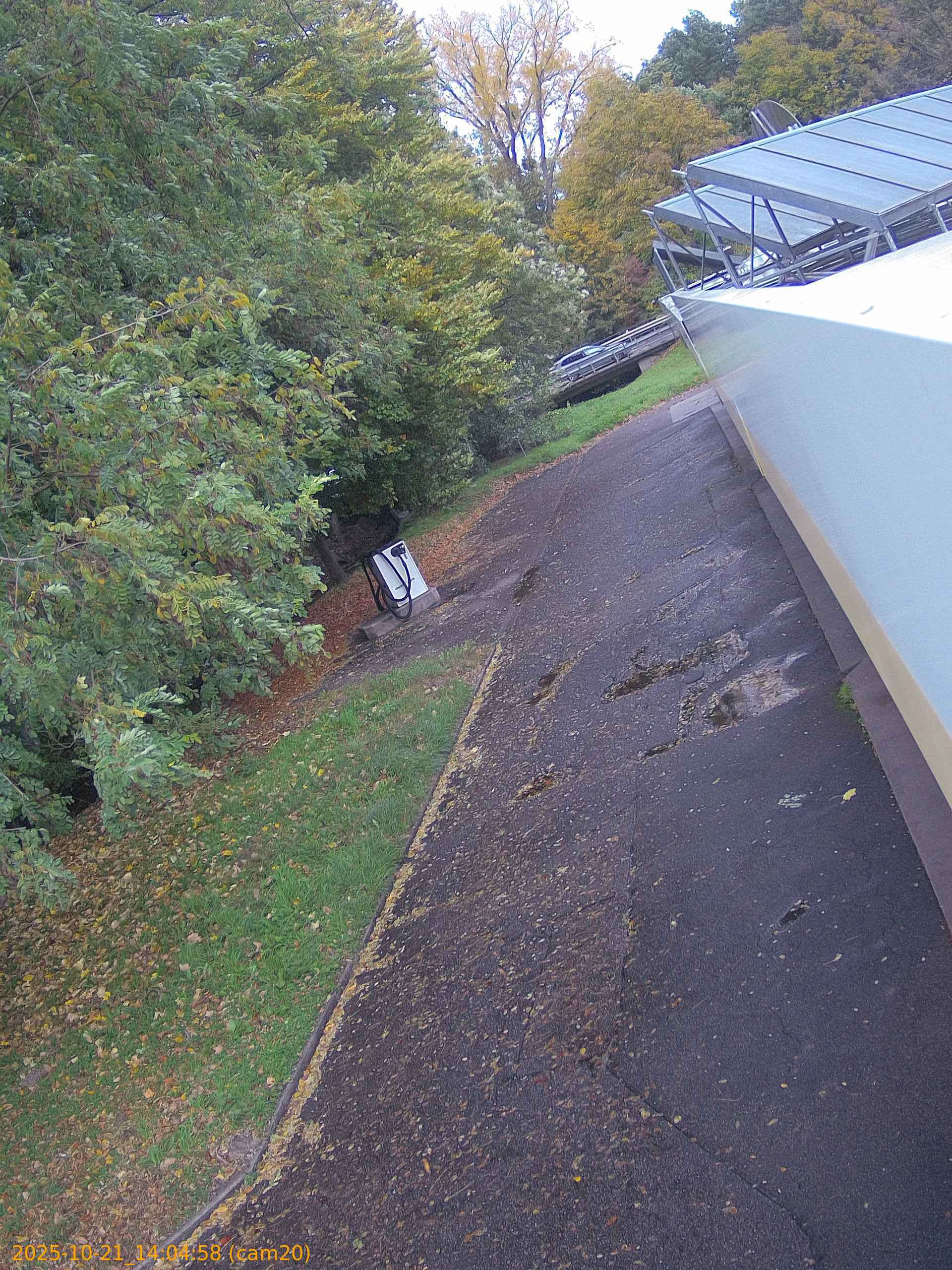thumbnail_202510211404