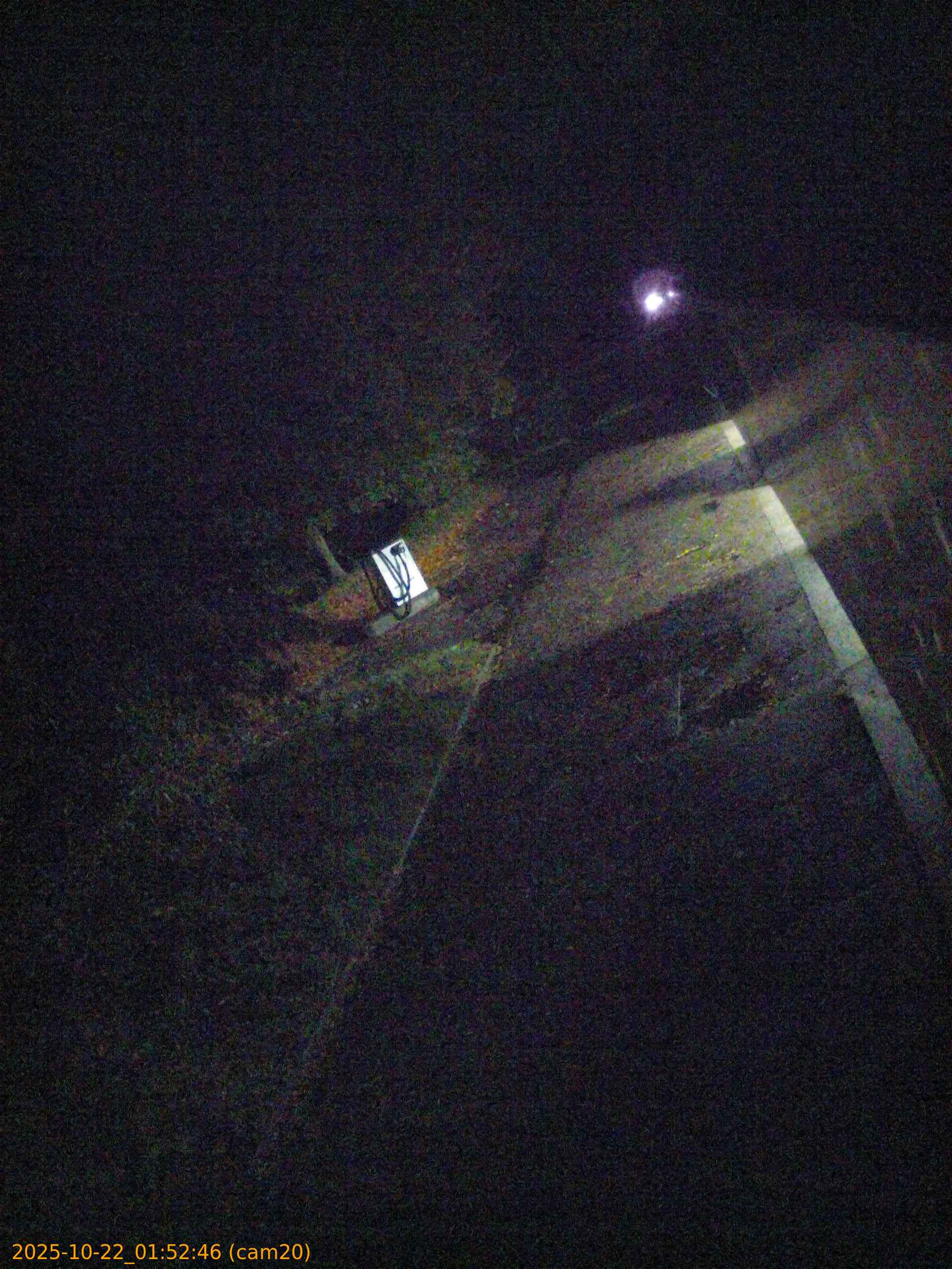 20251022015246