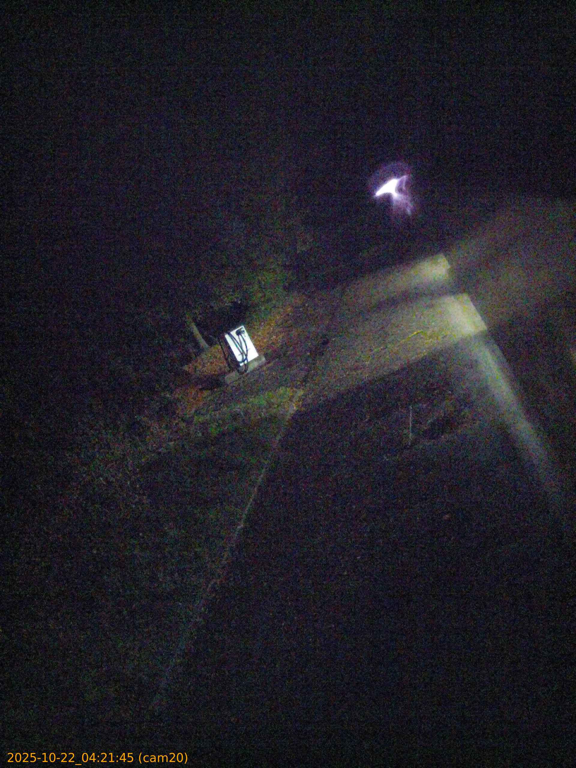 thumbnail_20251022042145