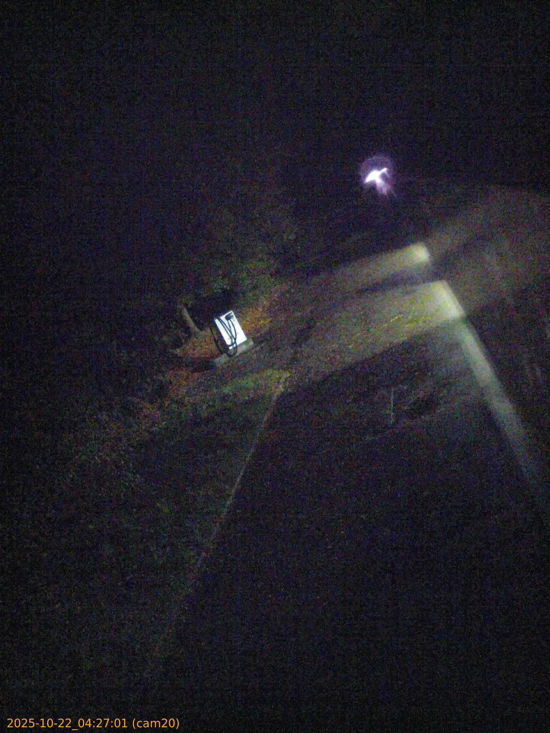 thumbnail_20251022042701