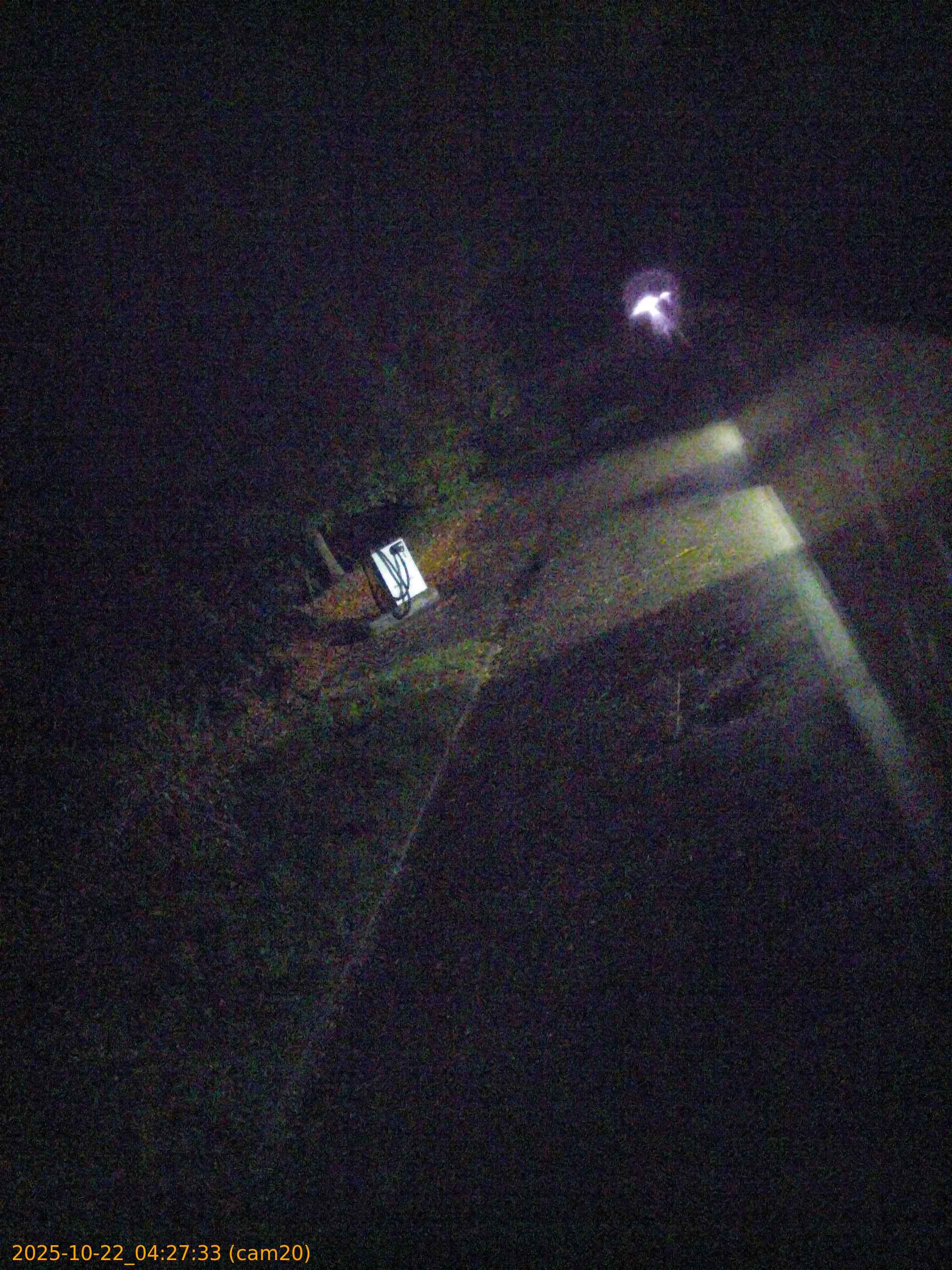 thumbnail_20251022042733