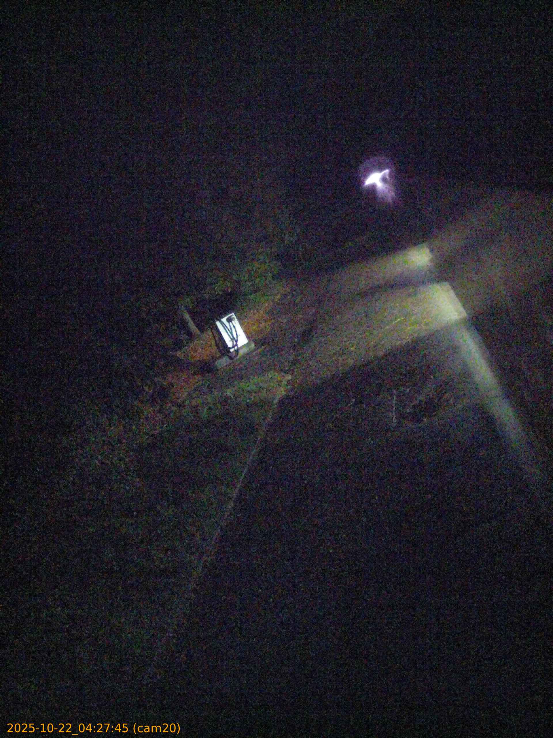 thumbnail_20251022042745