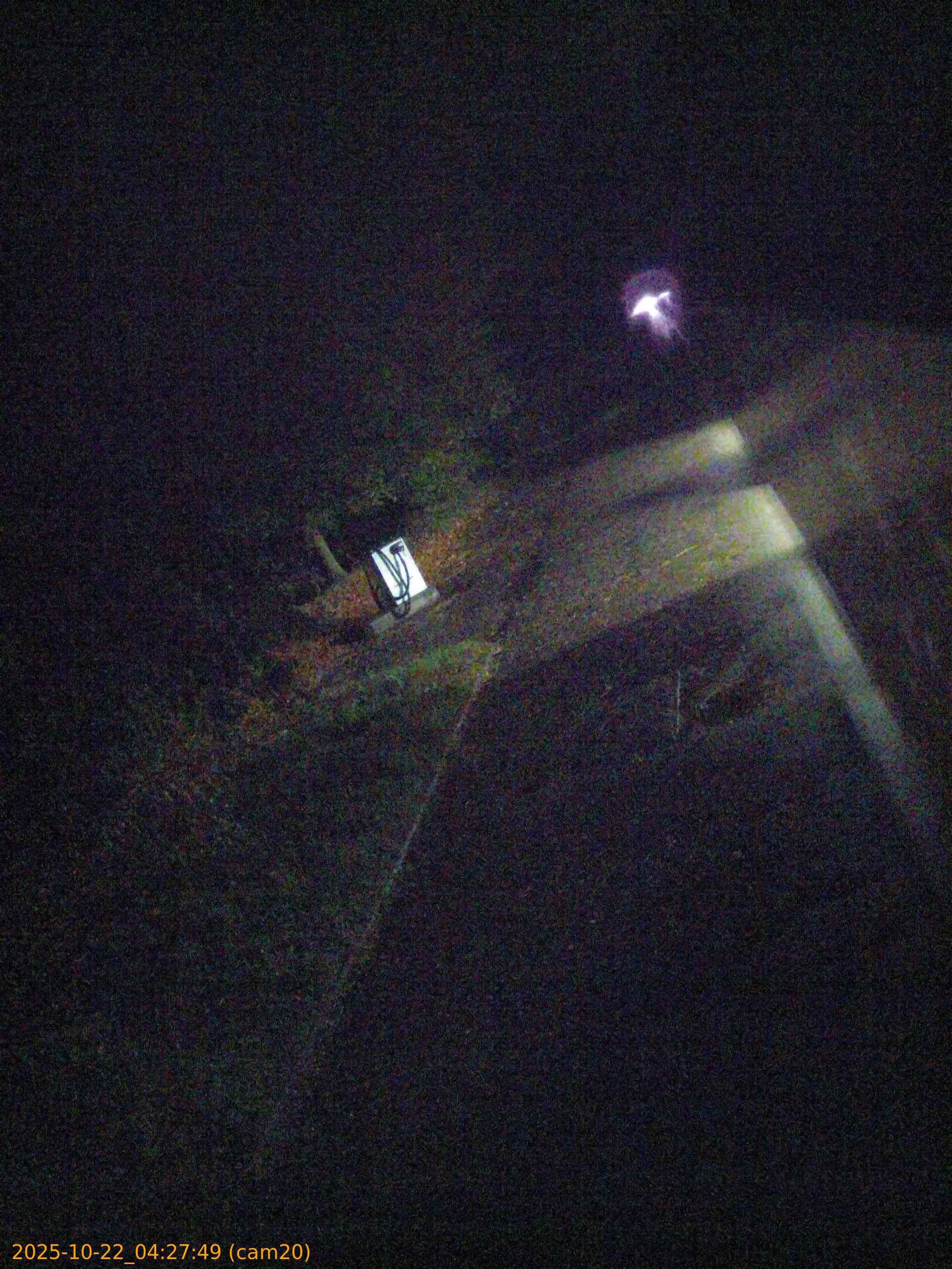 thumbnail_20251022042749