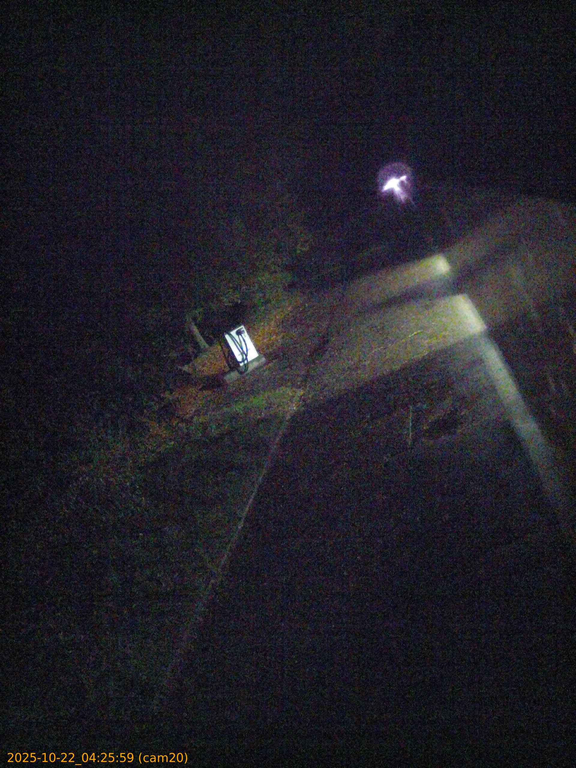 thumbnail_202510220425