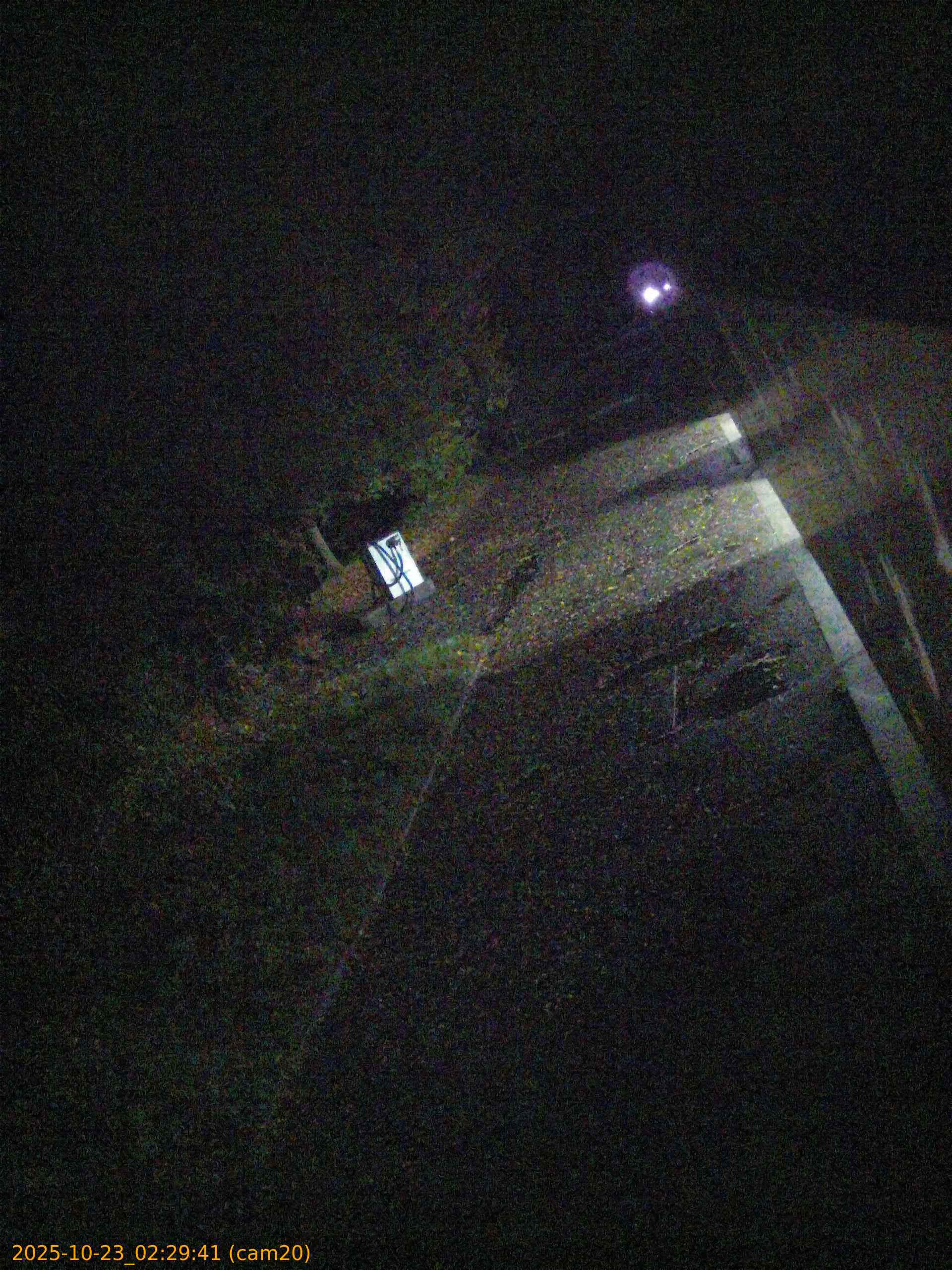 20251023022941
