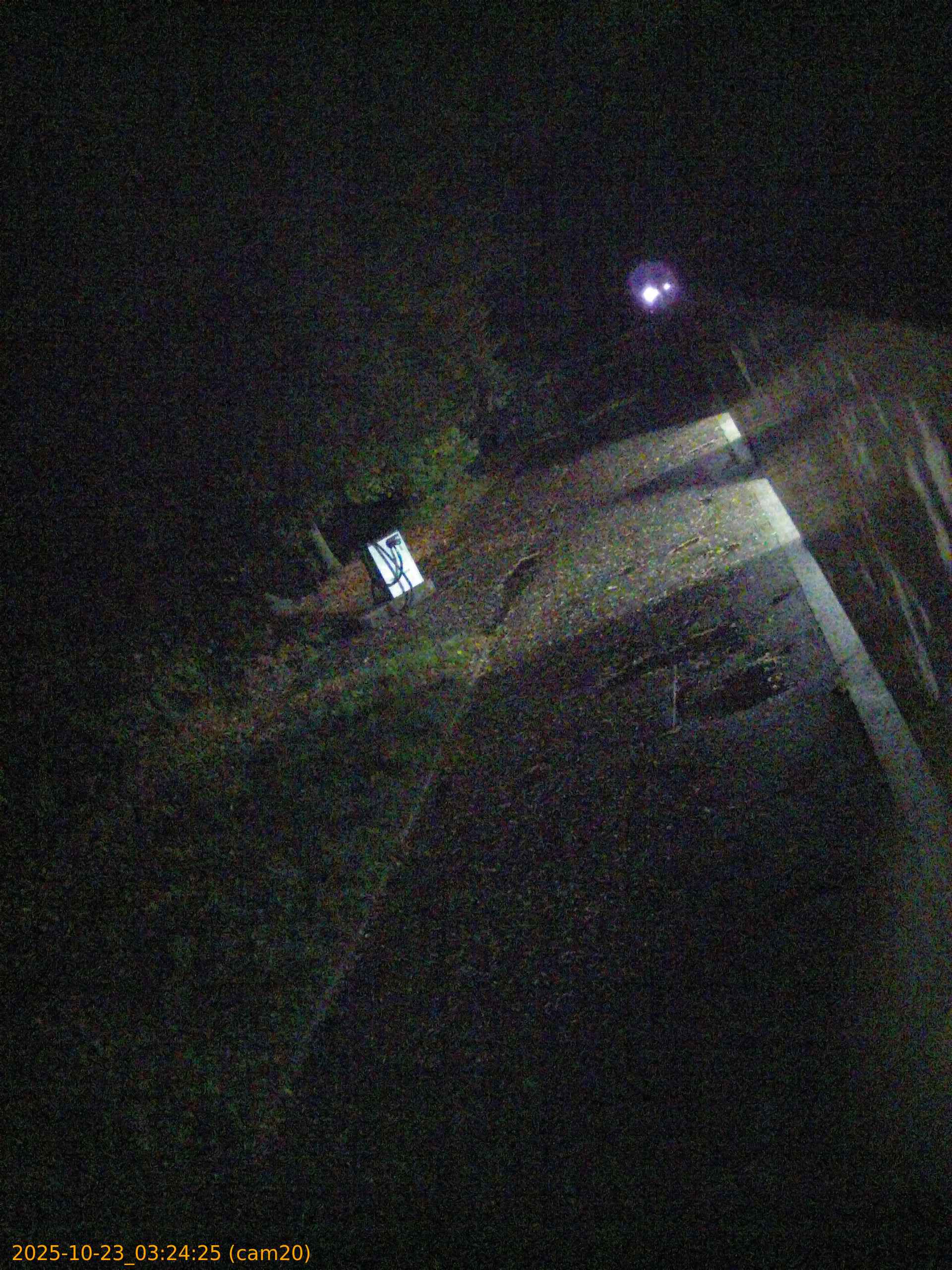 20251023032425