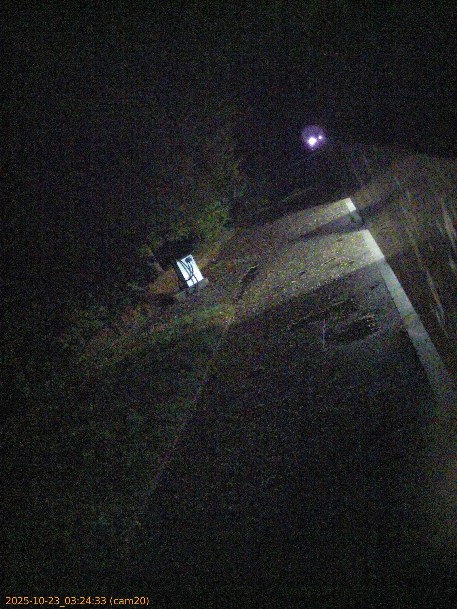 20251023032433