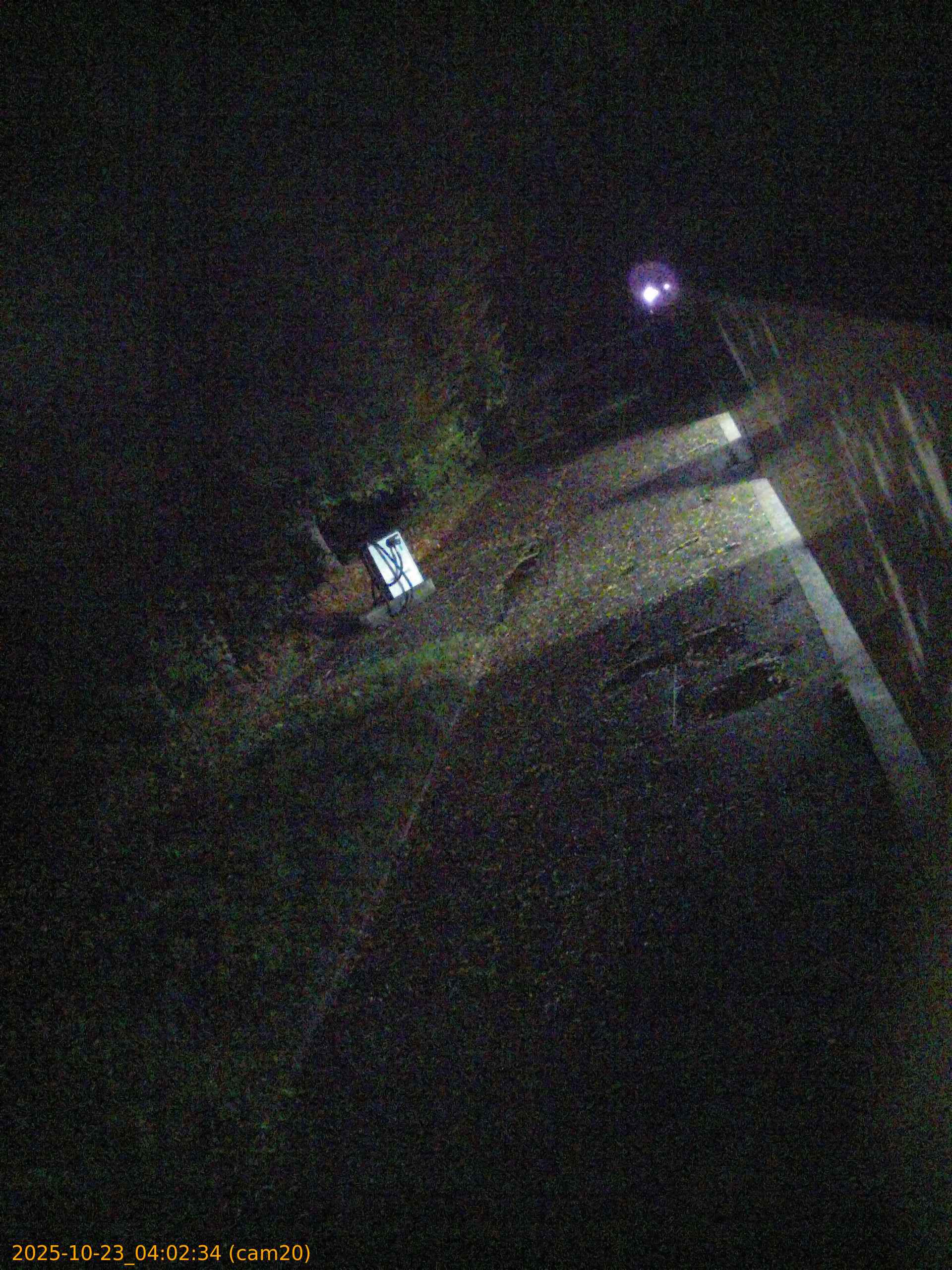20251023040234