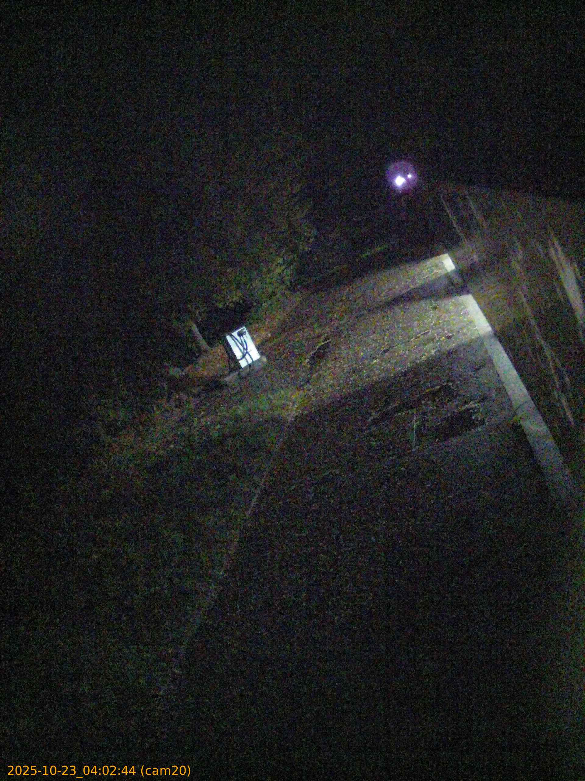 20251023040244