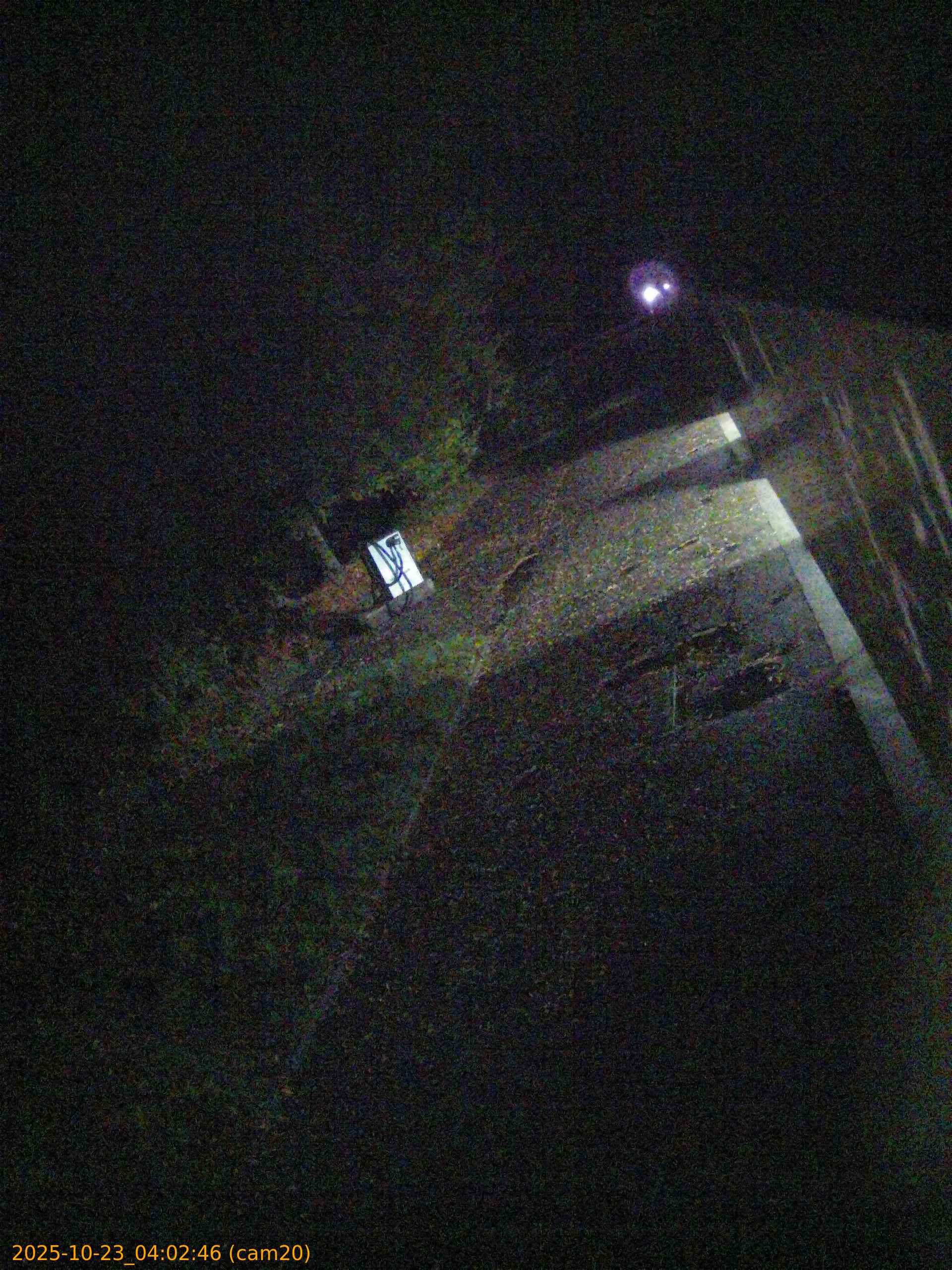 20251023040245
