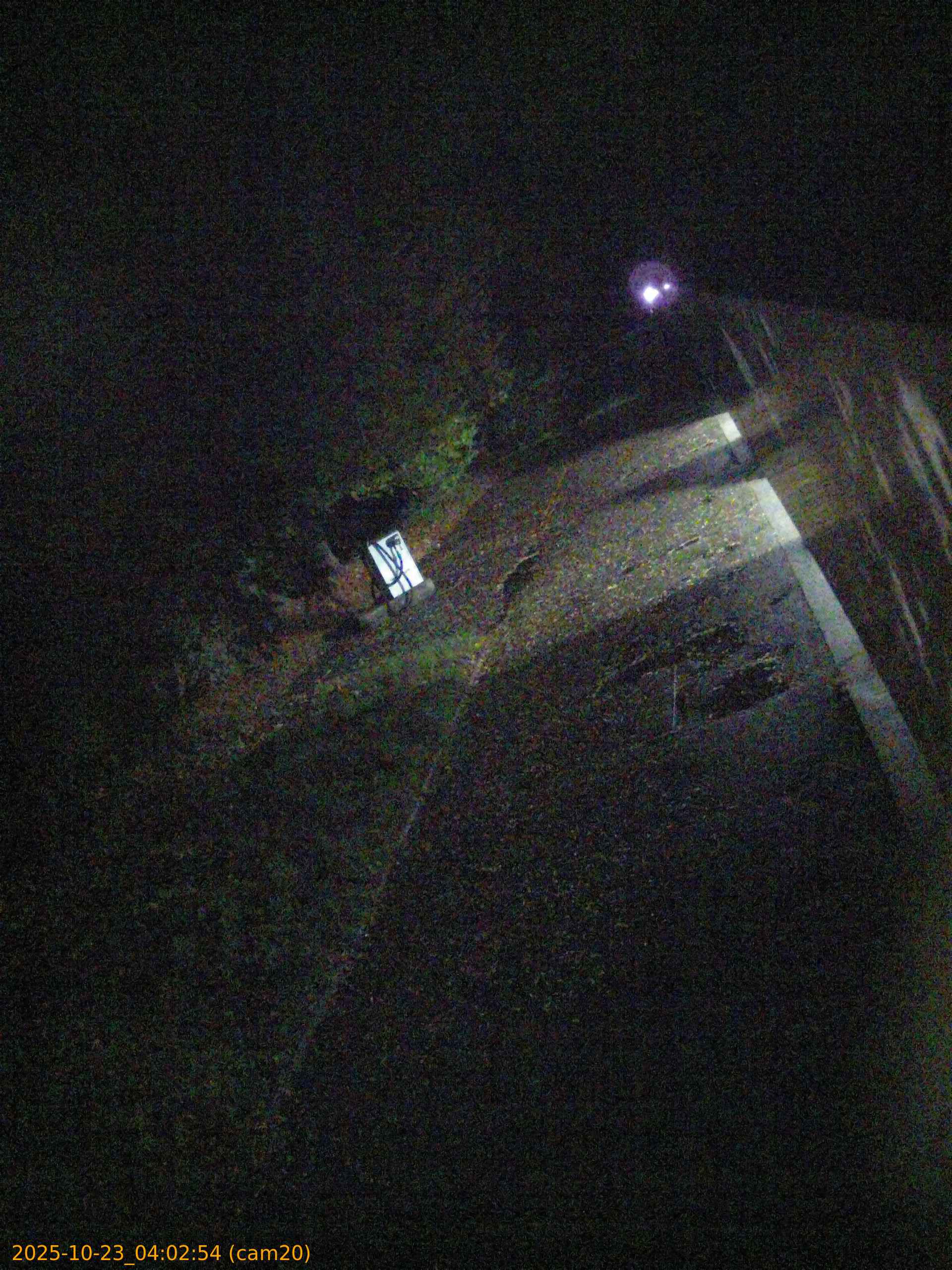 20251023040253