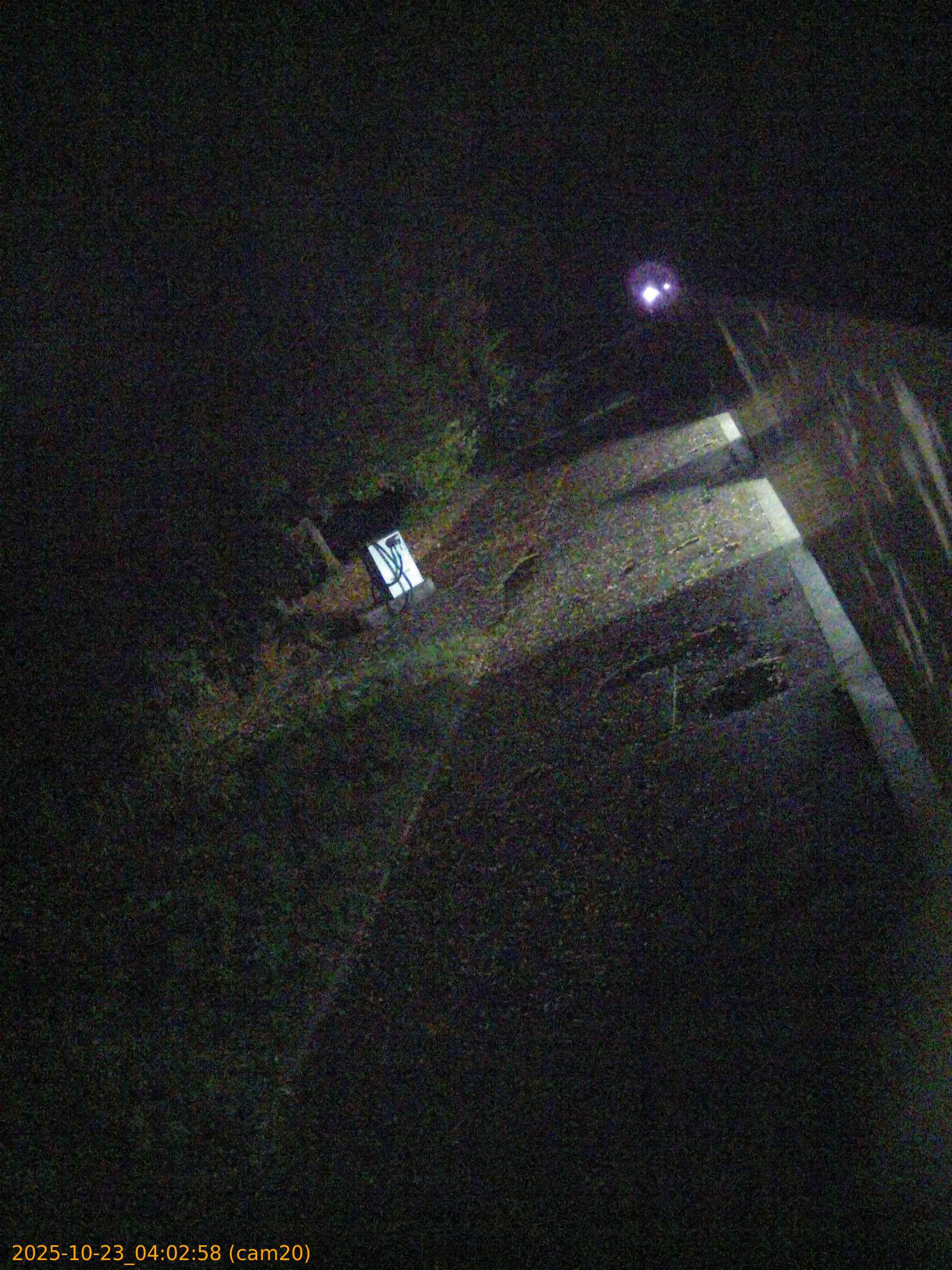 20251023040258