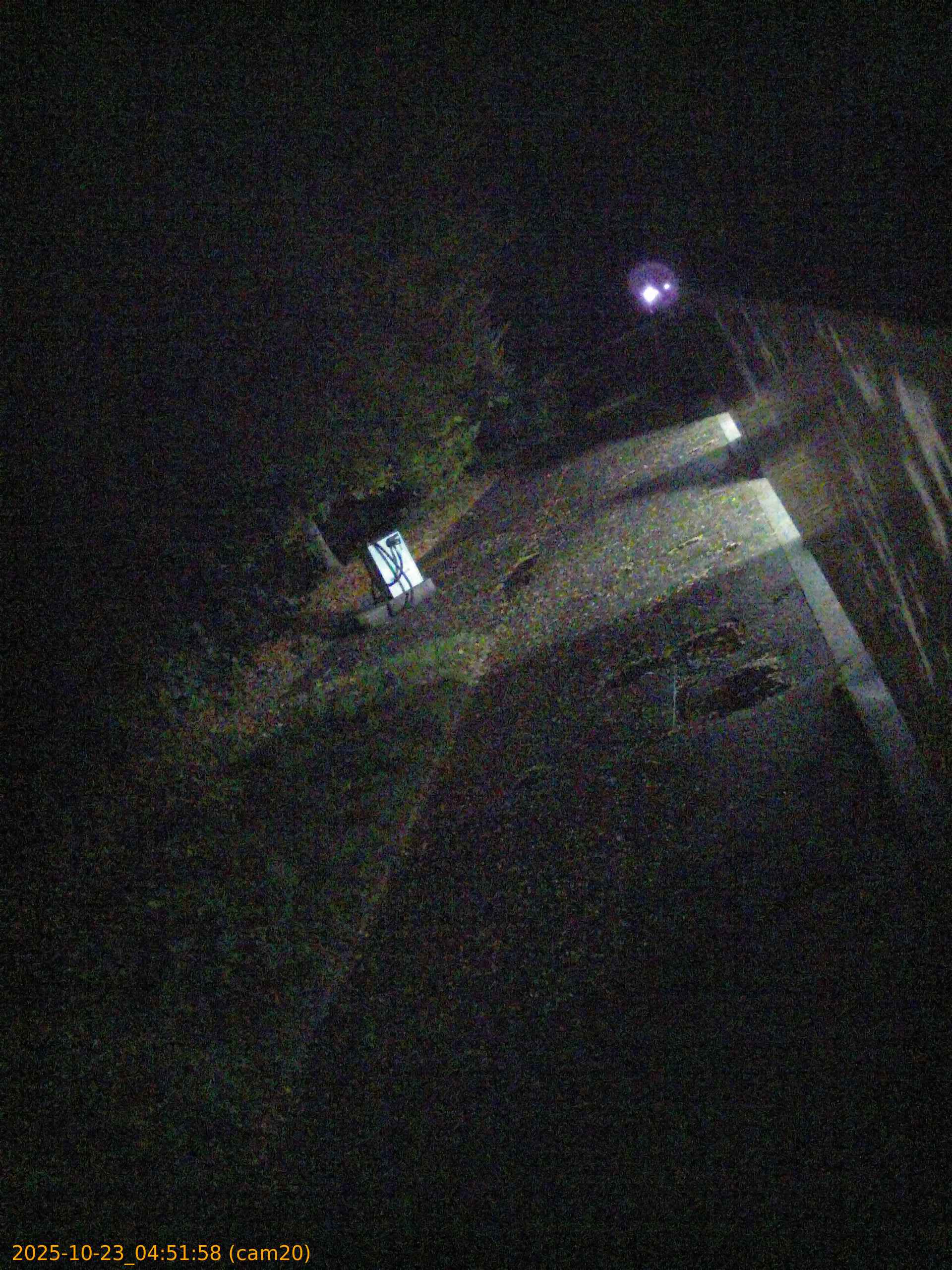 thumbnail_202510230451