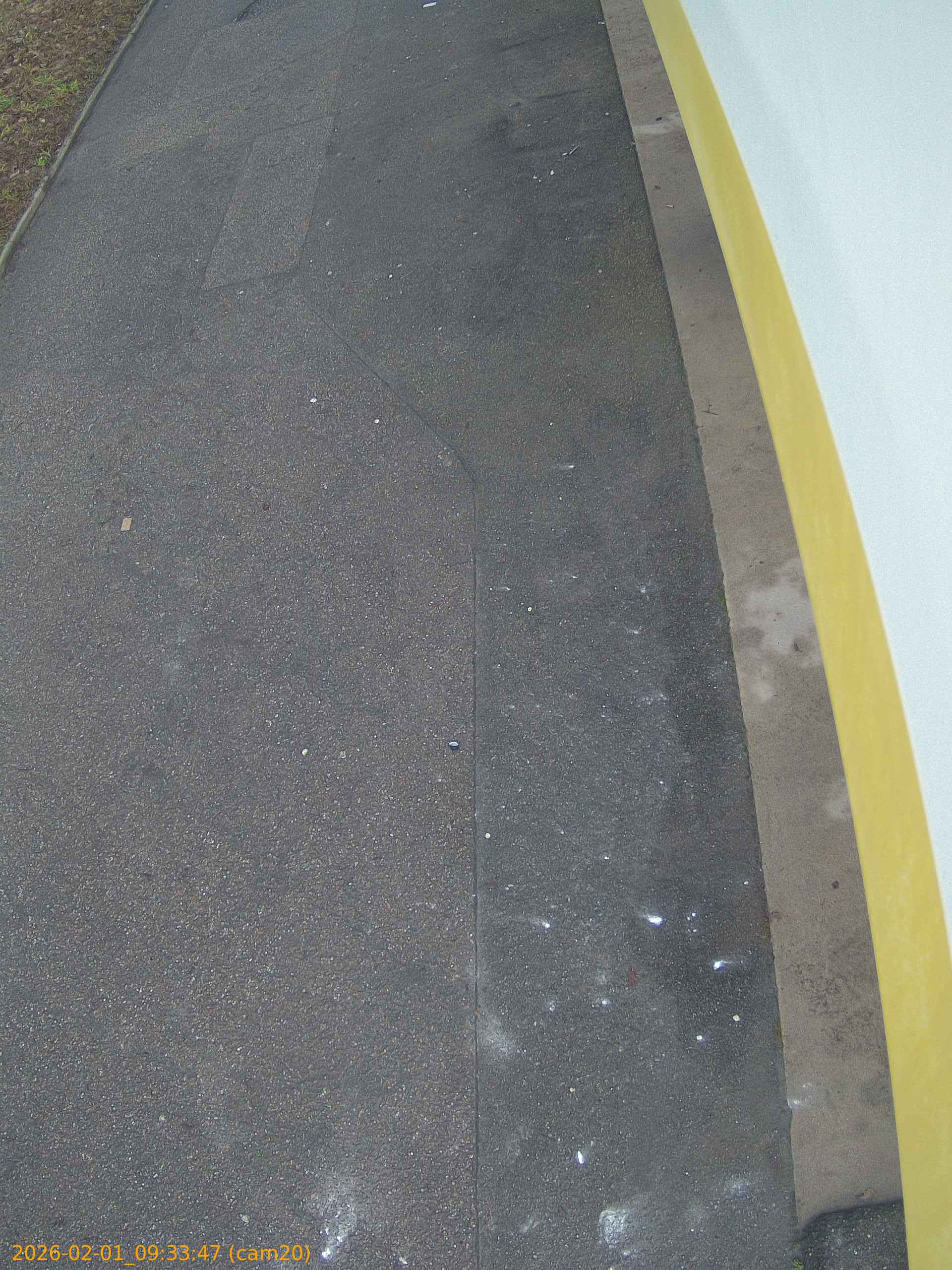 thumbnail_20260201093347