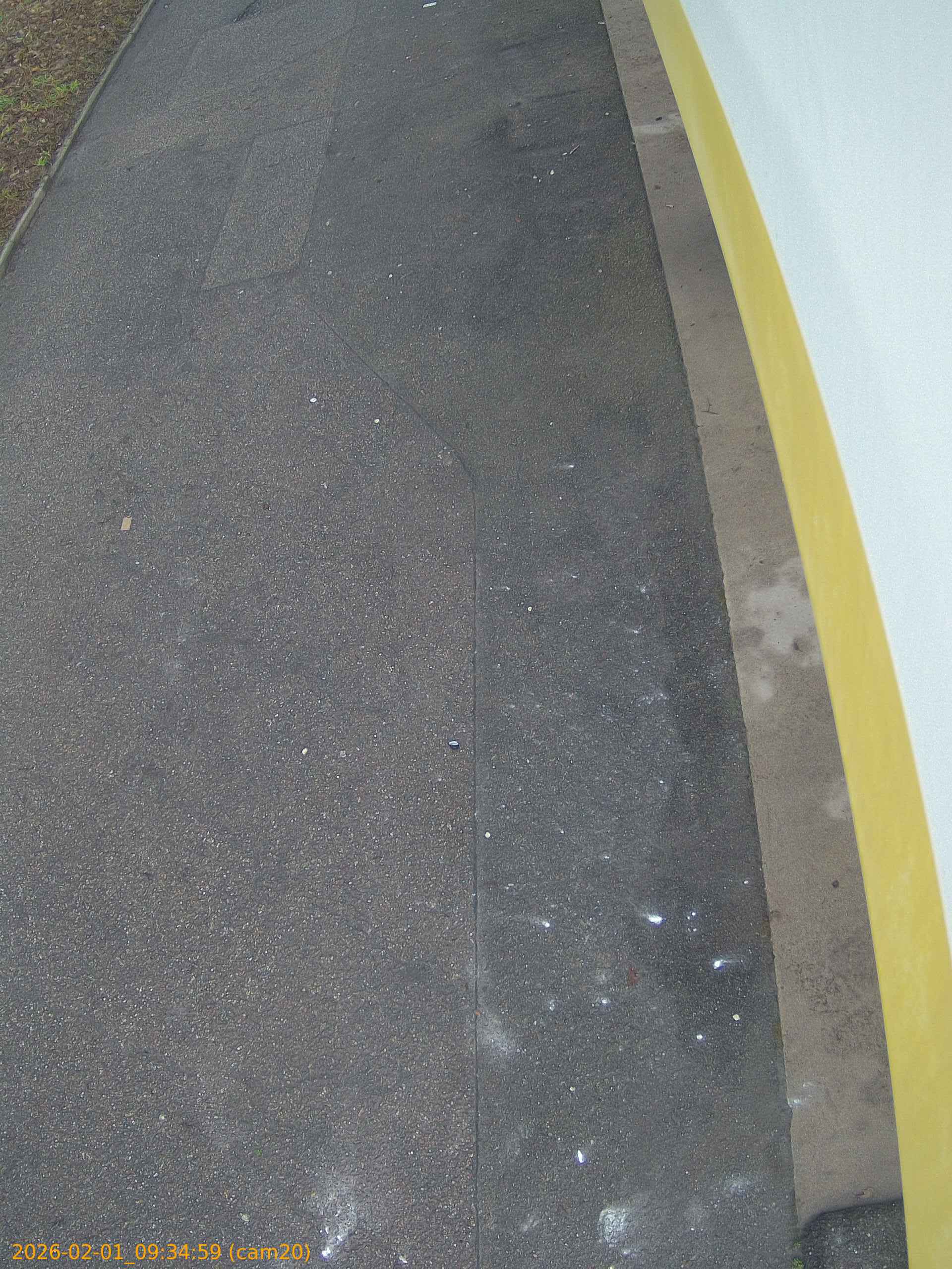 thumbnail_20260201093459