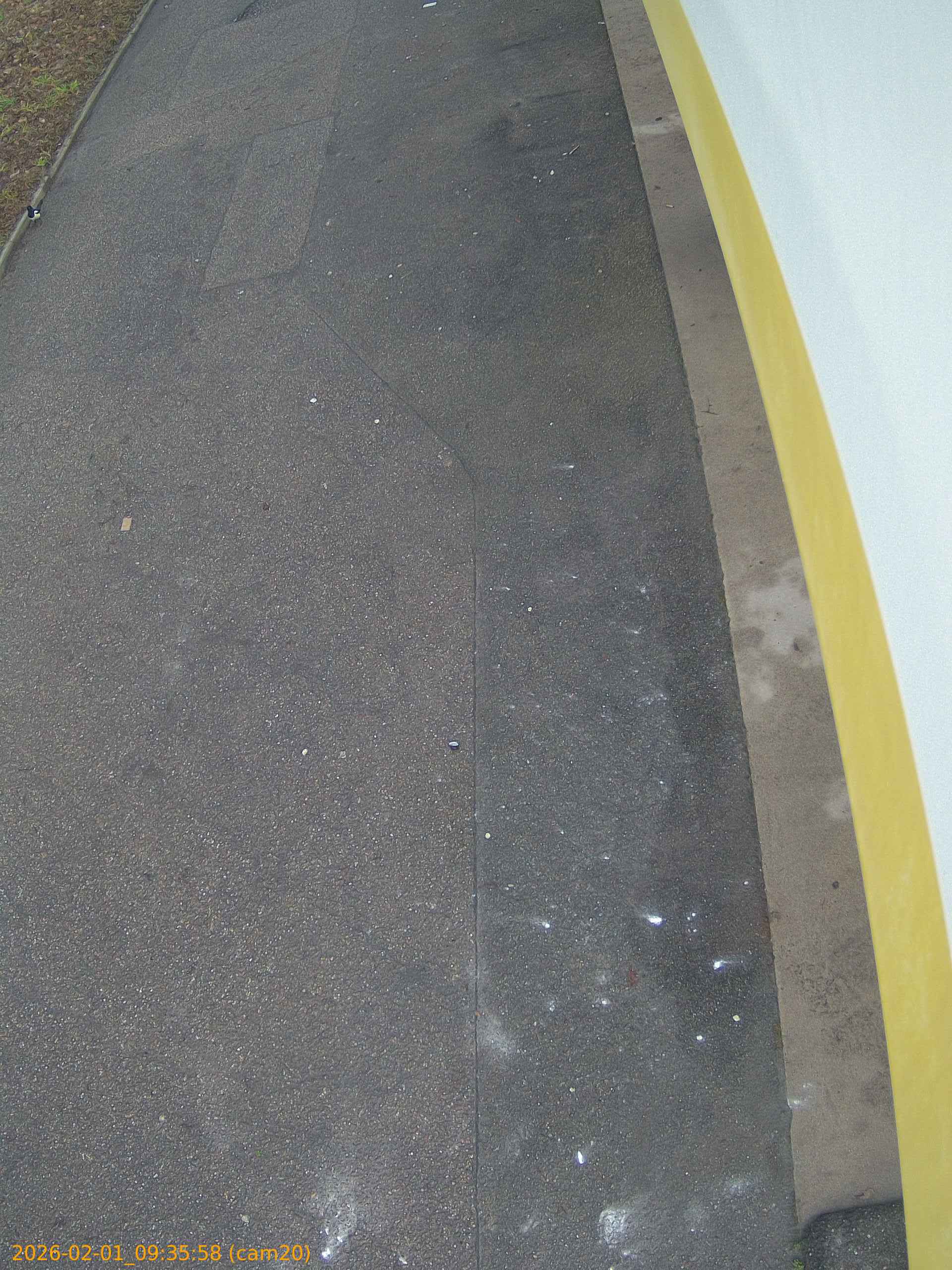 thumbnail_20260201093558