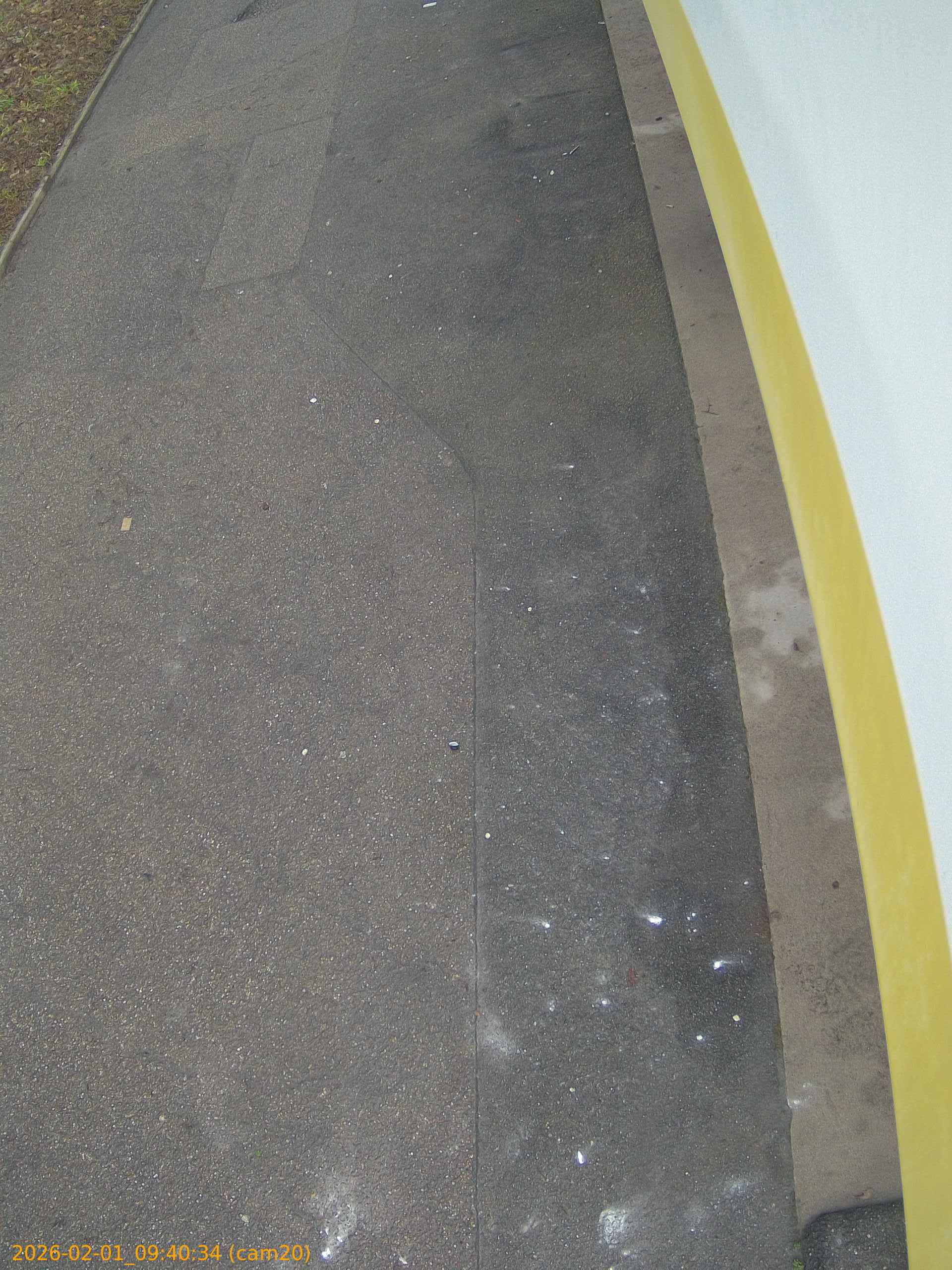 thumbnail_20260201094034