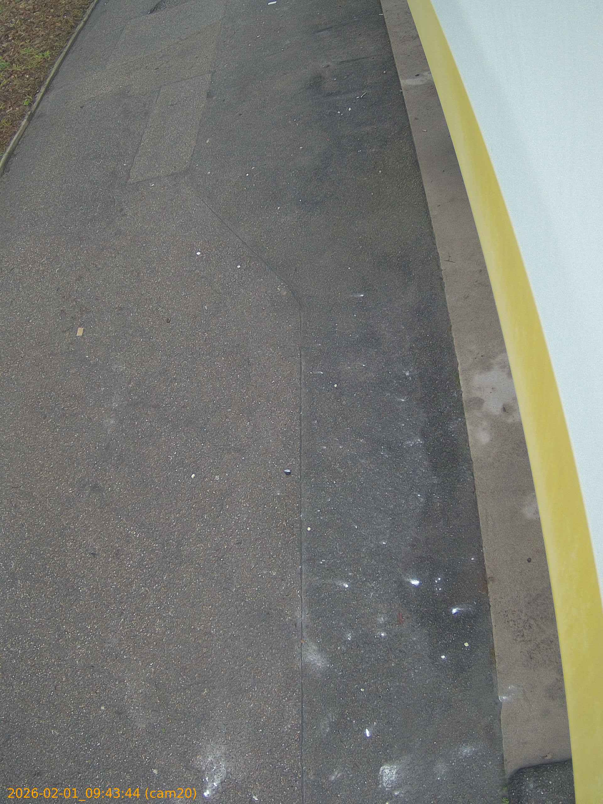 thumbnail_20260201094344