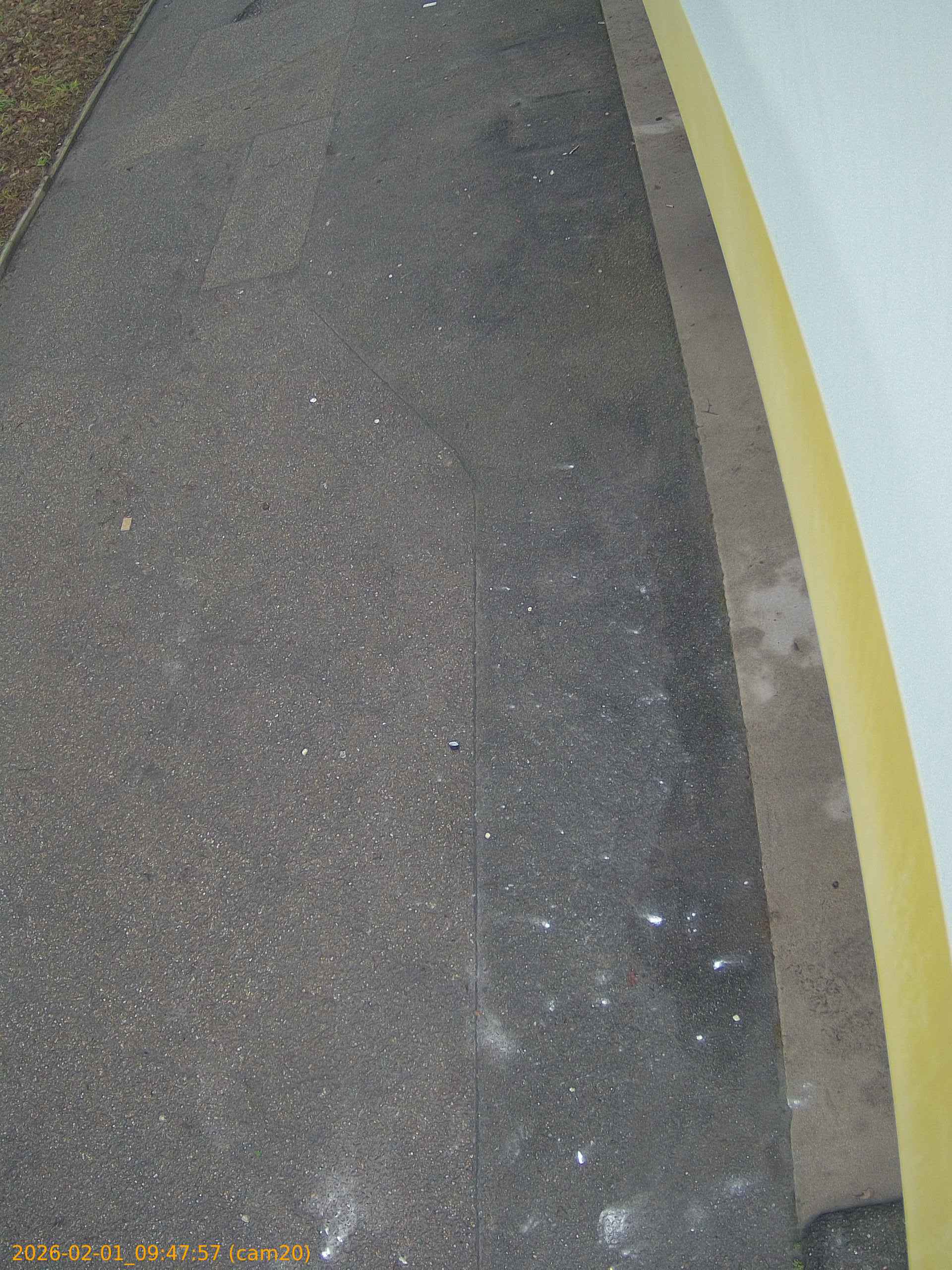 thumbnail_20260201094757