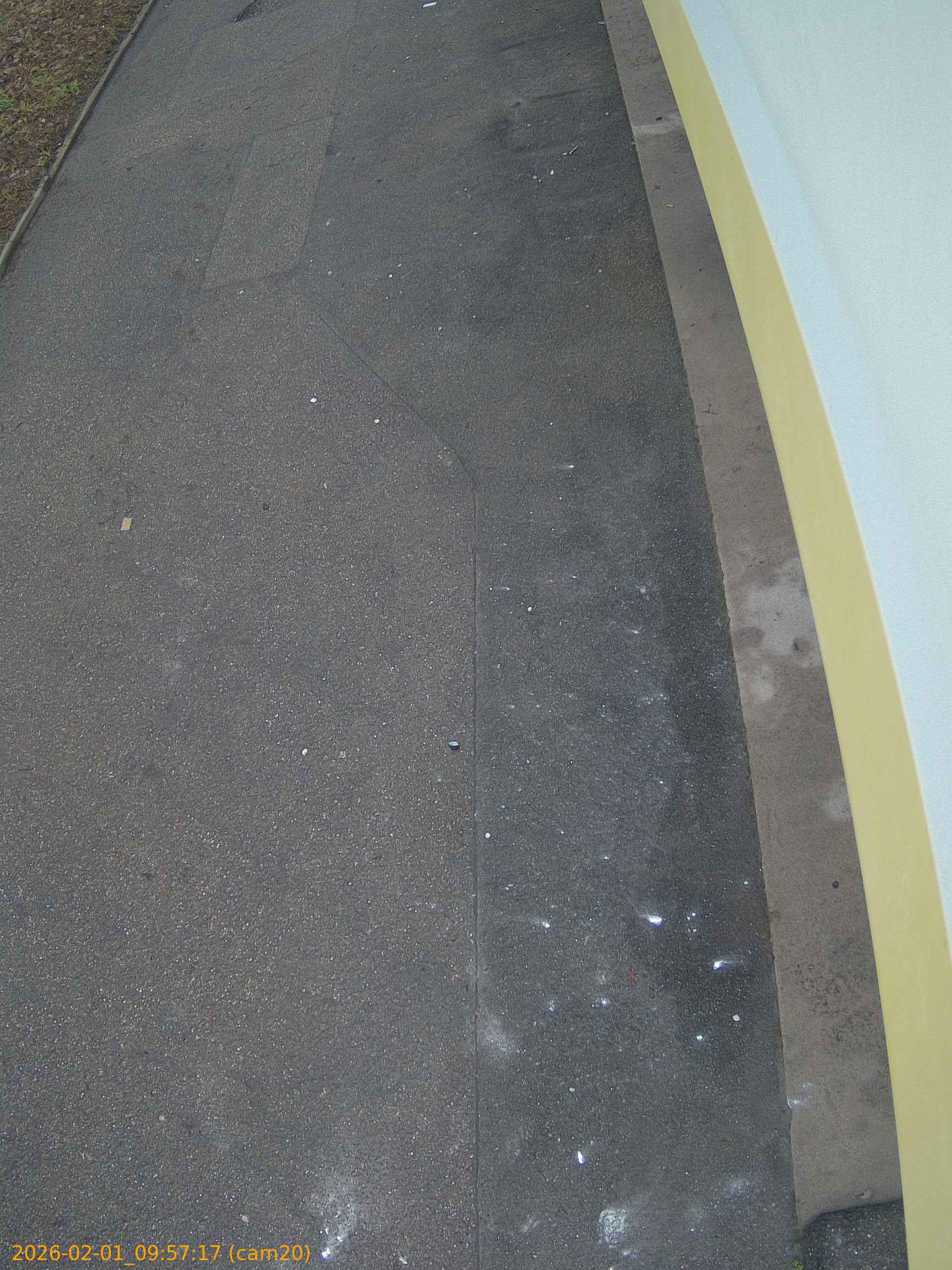 thumbnail_20260201095717