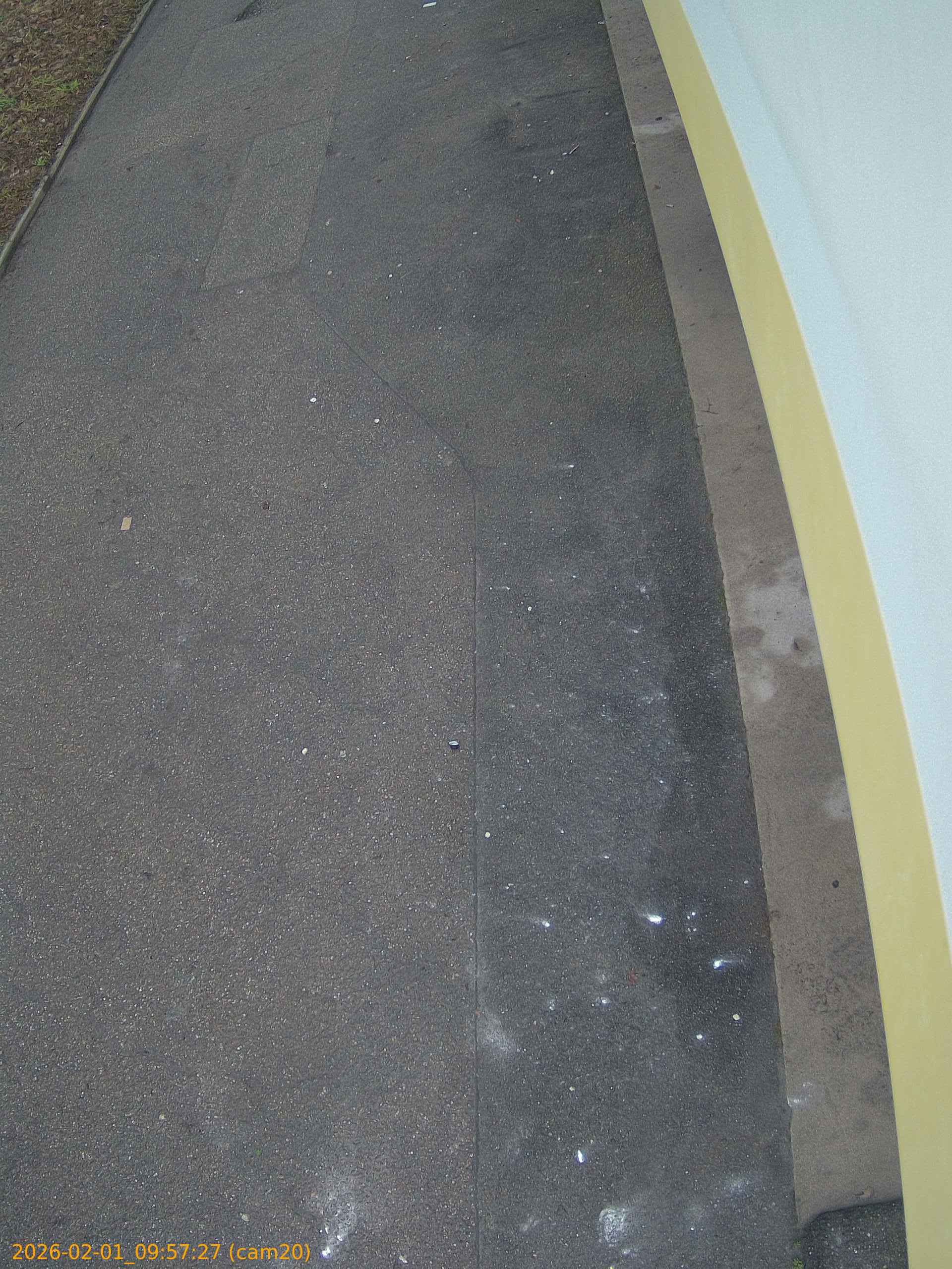 thumbnail_20260201095727