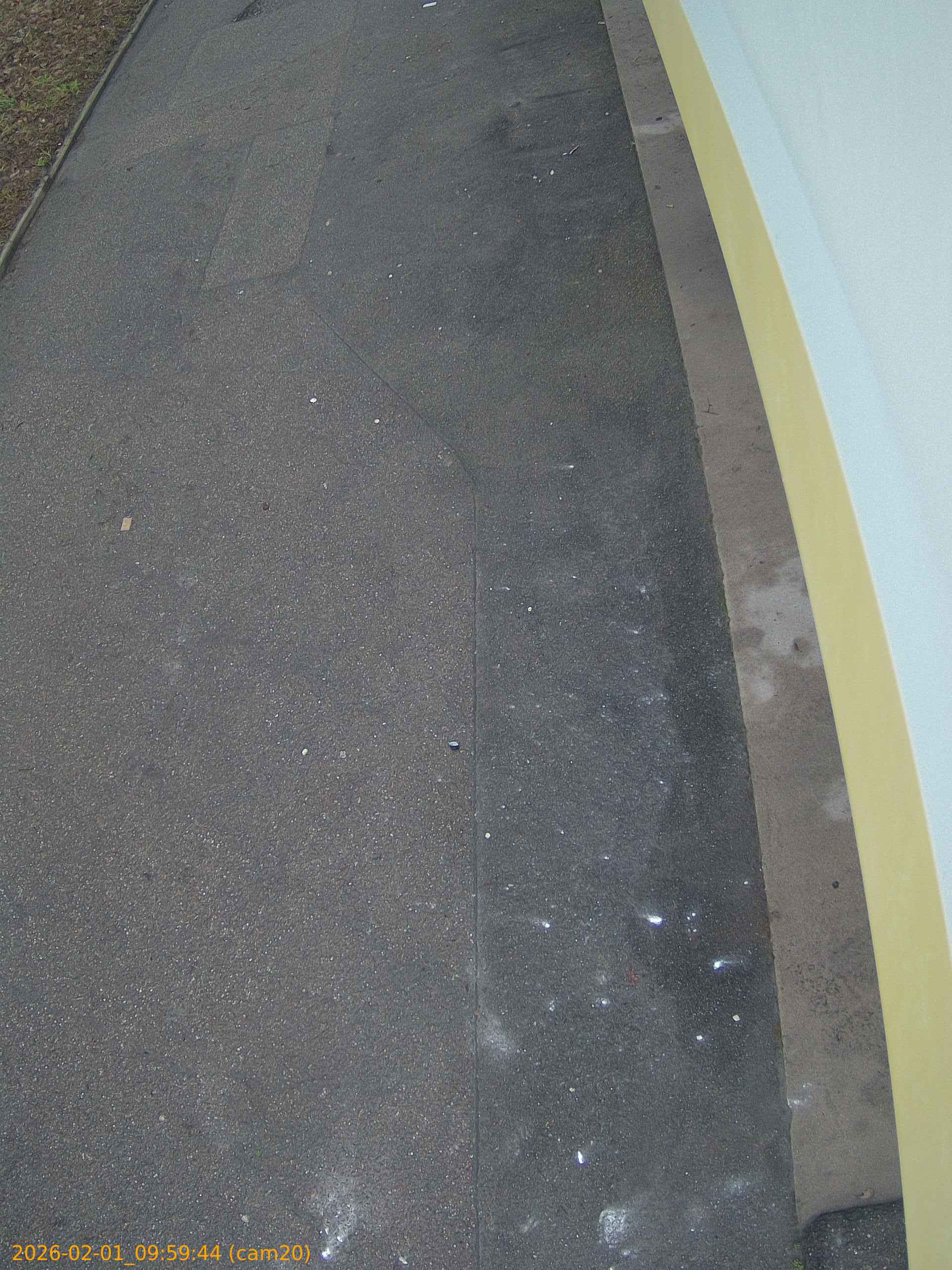 thumbnail_20260201095944