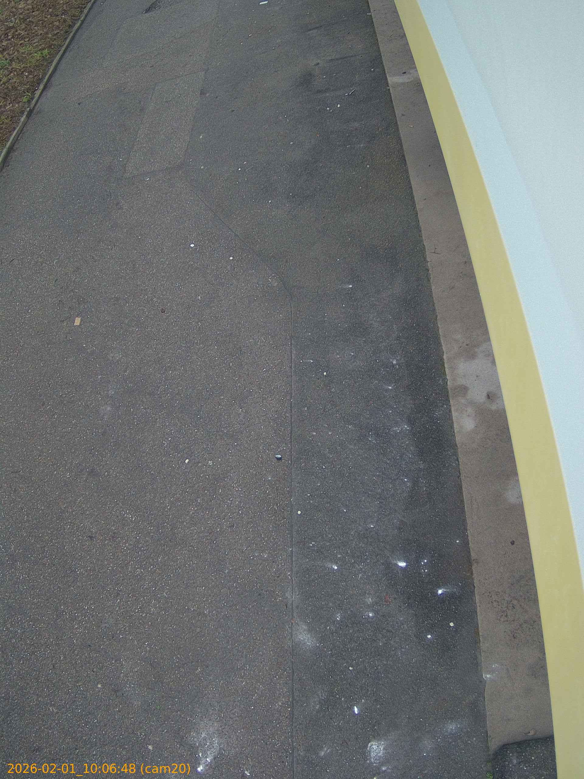 thumbnail_20260201100648