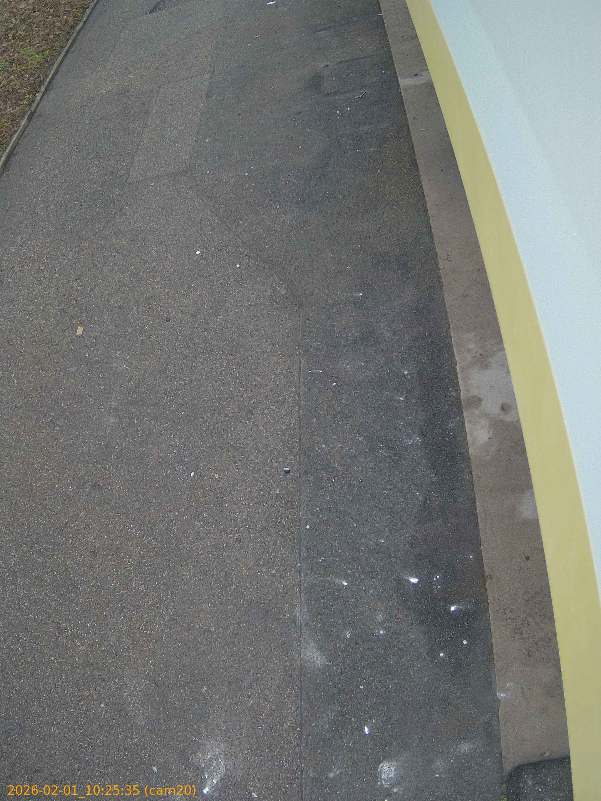 thumbnail_20260201102535