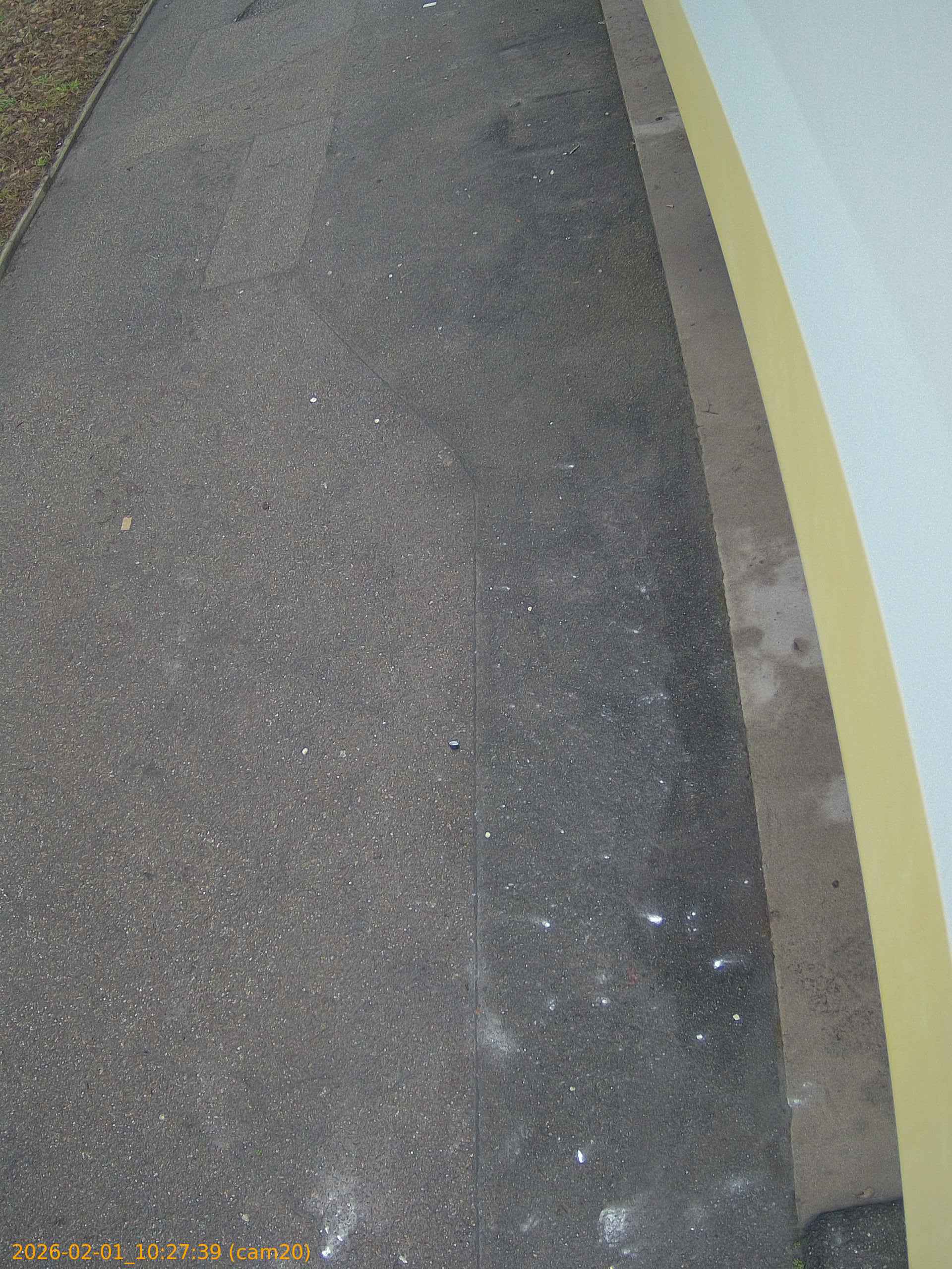 thumbnail_20260201102739