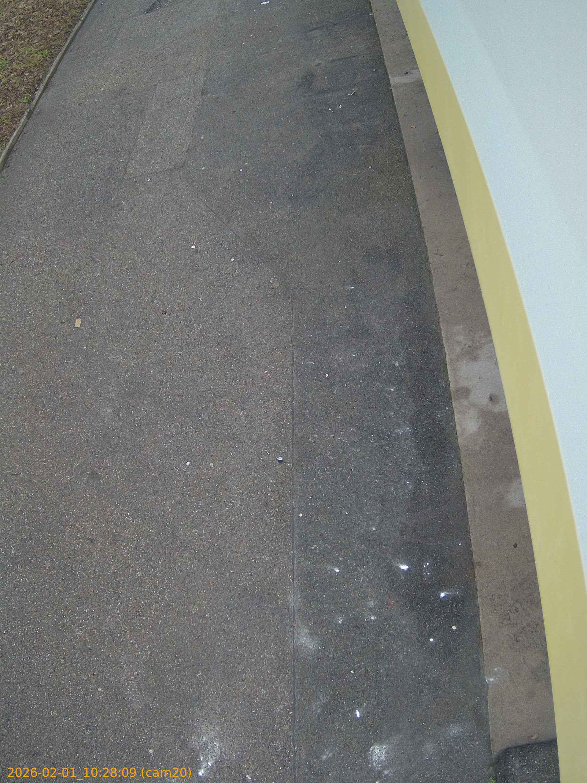 thumbnail_20260201102809