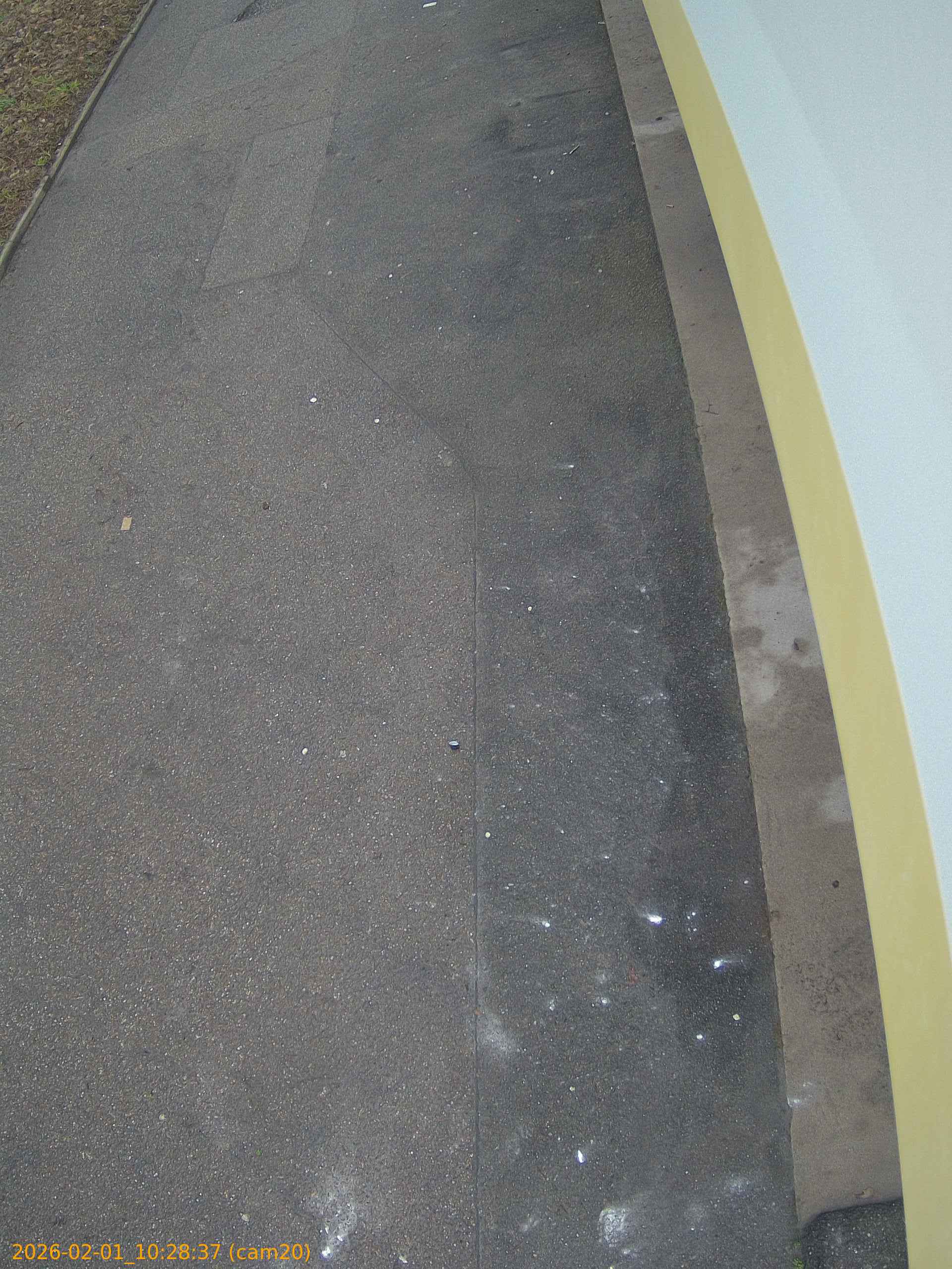 thumbnail_20260201102837